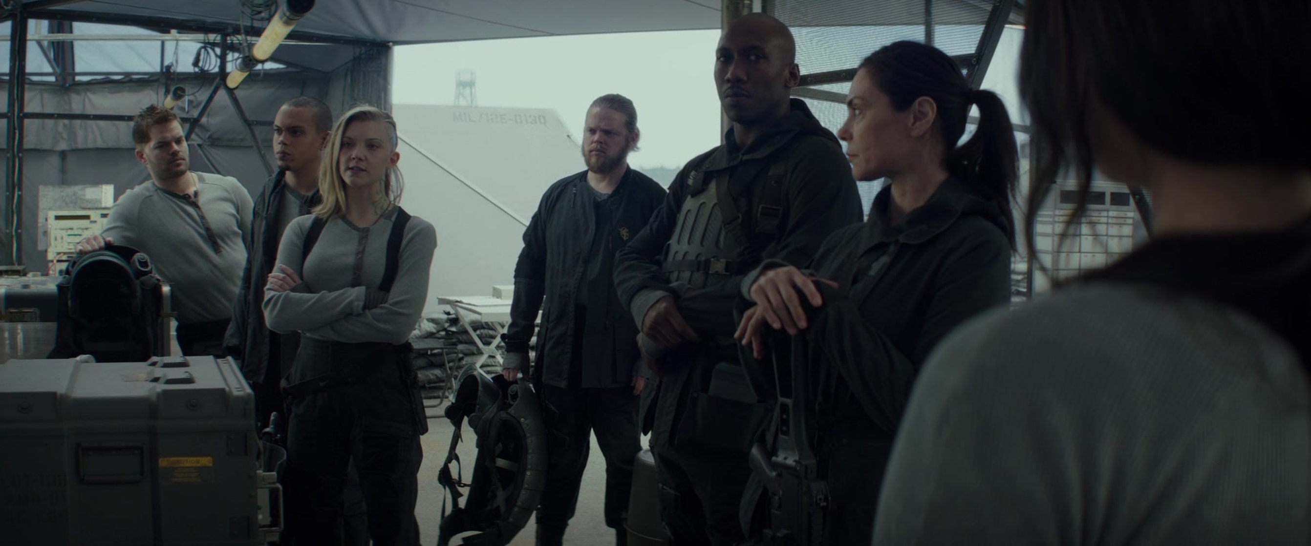 The Hunger Games: Mockingjay - Part 2