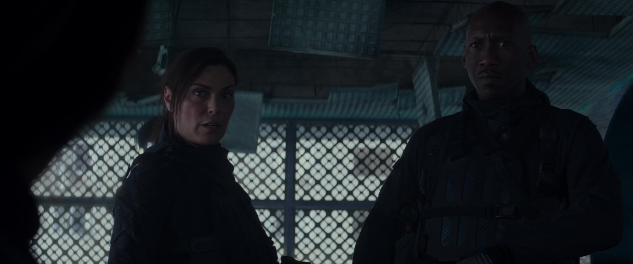 The Hunger Games: Mockingjay - Part 2