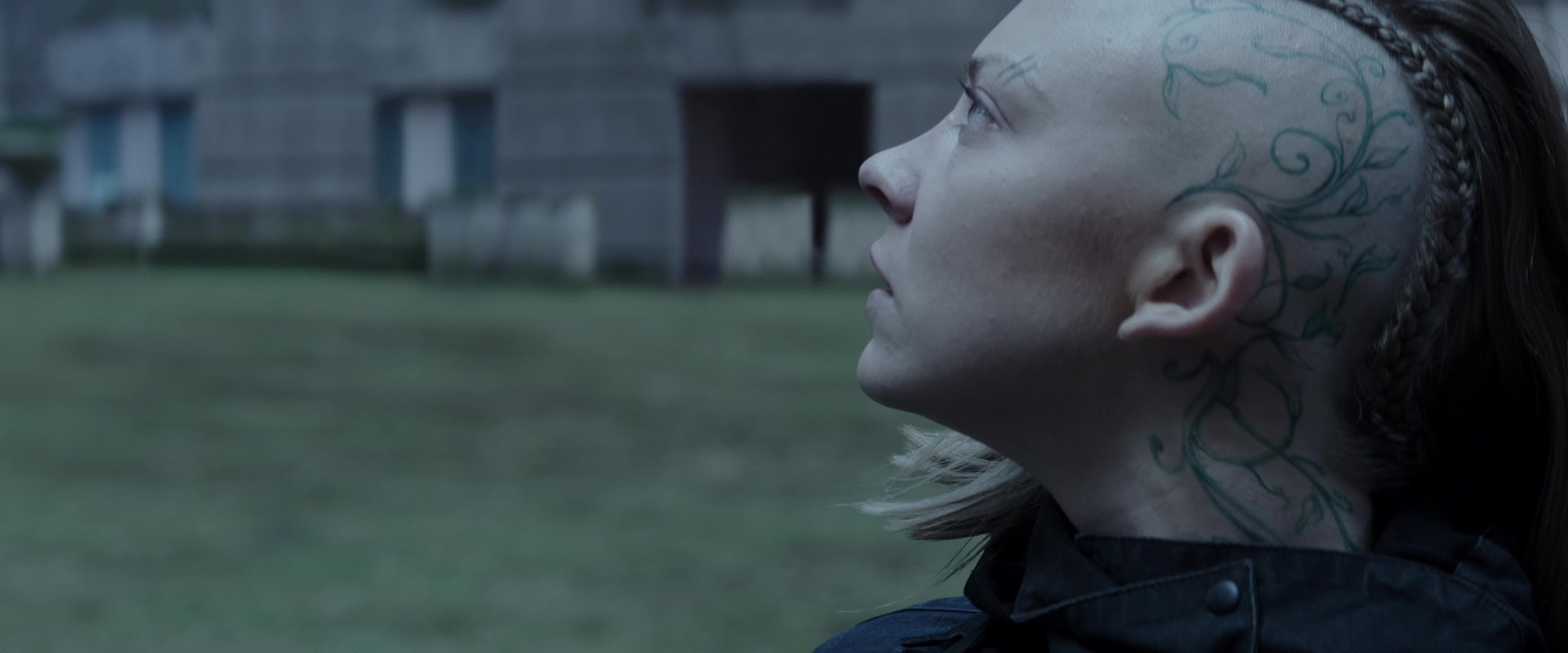 The Hunger Games: Mockingjay - Part 2