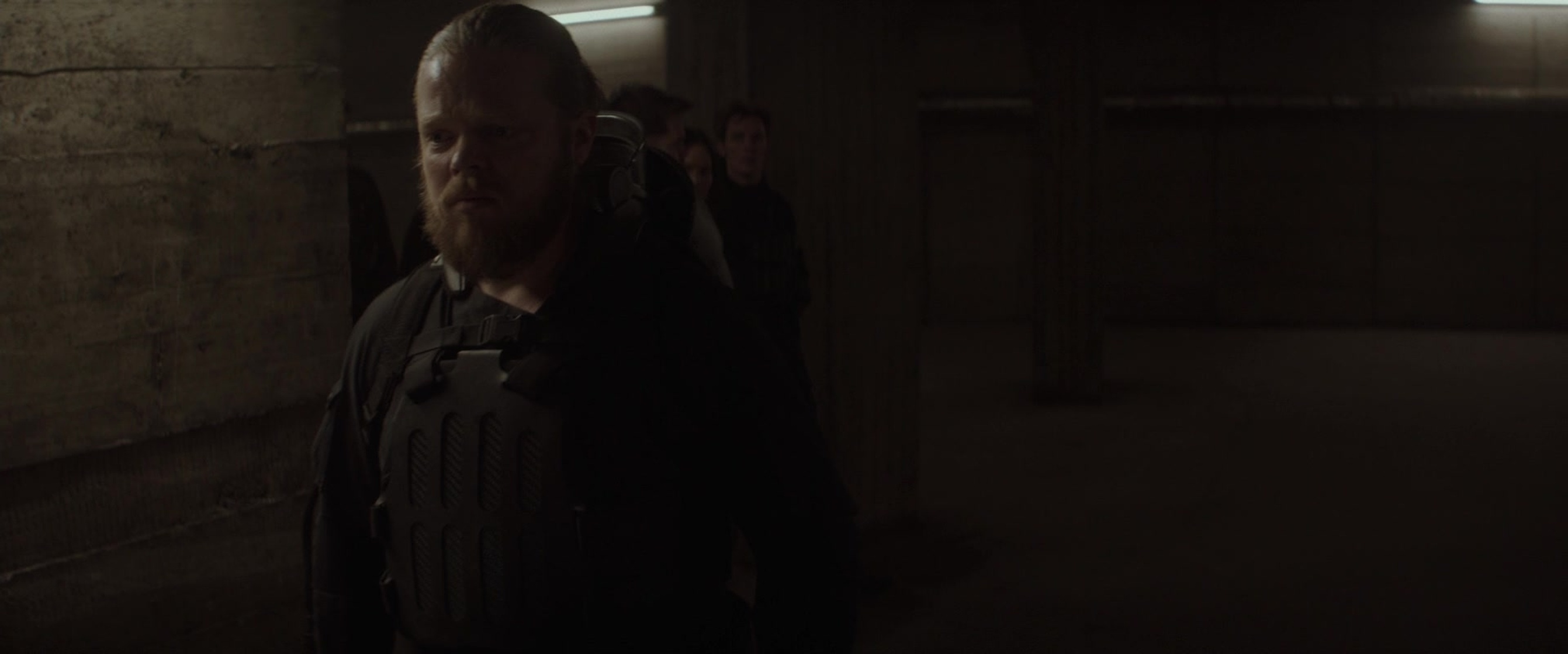 The Hunger Games: Mockingjay - Part 2