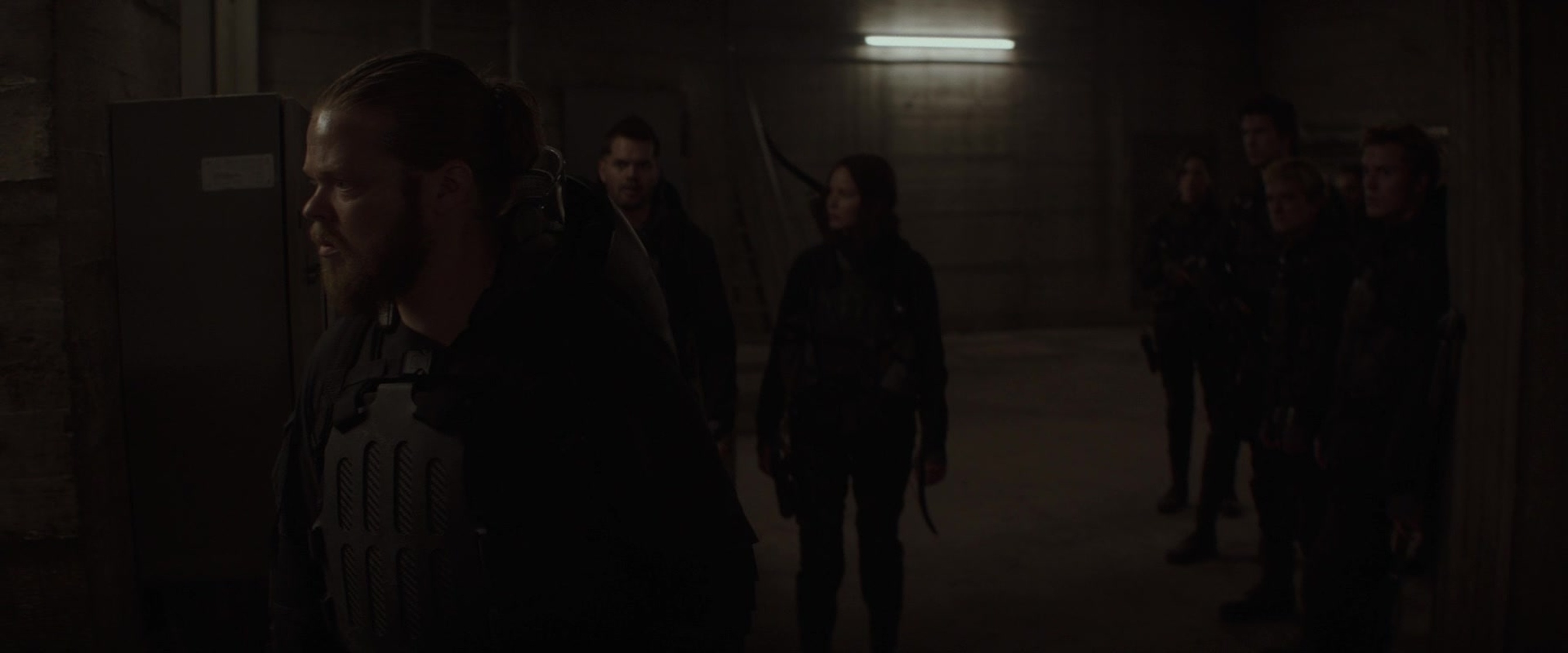 The Hunger Games: Mockingjay - Part 2