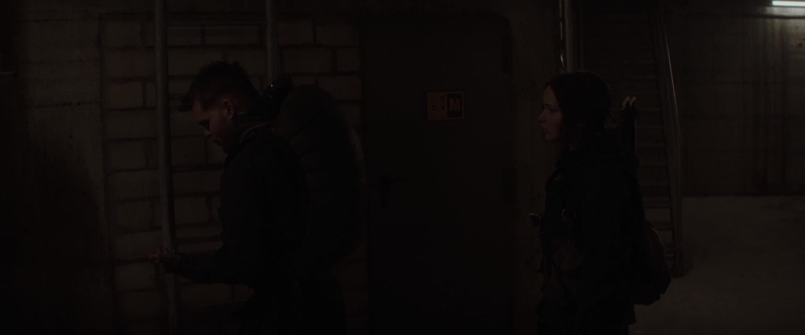 The Hunger Games: Mockingjay - Part 2