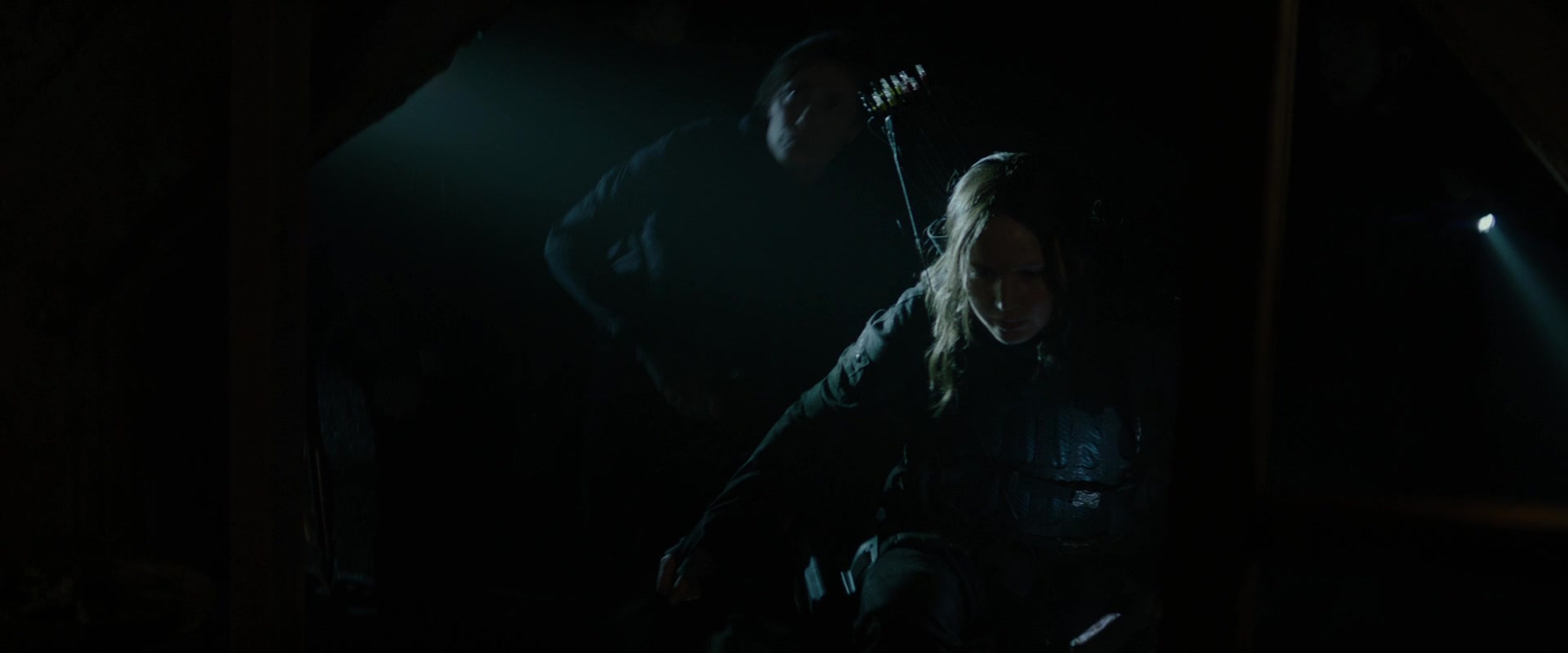 The Hunger Games: Mockingjay - Part 2