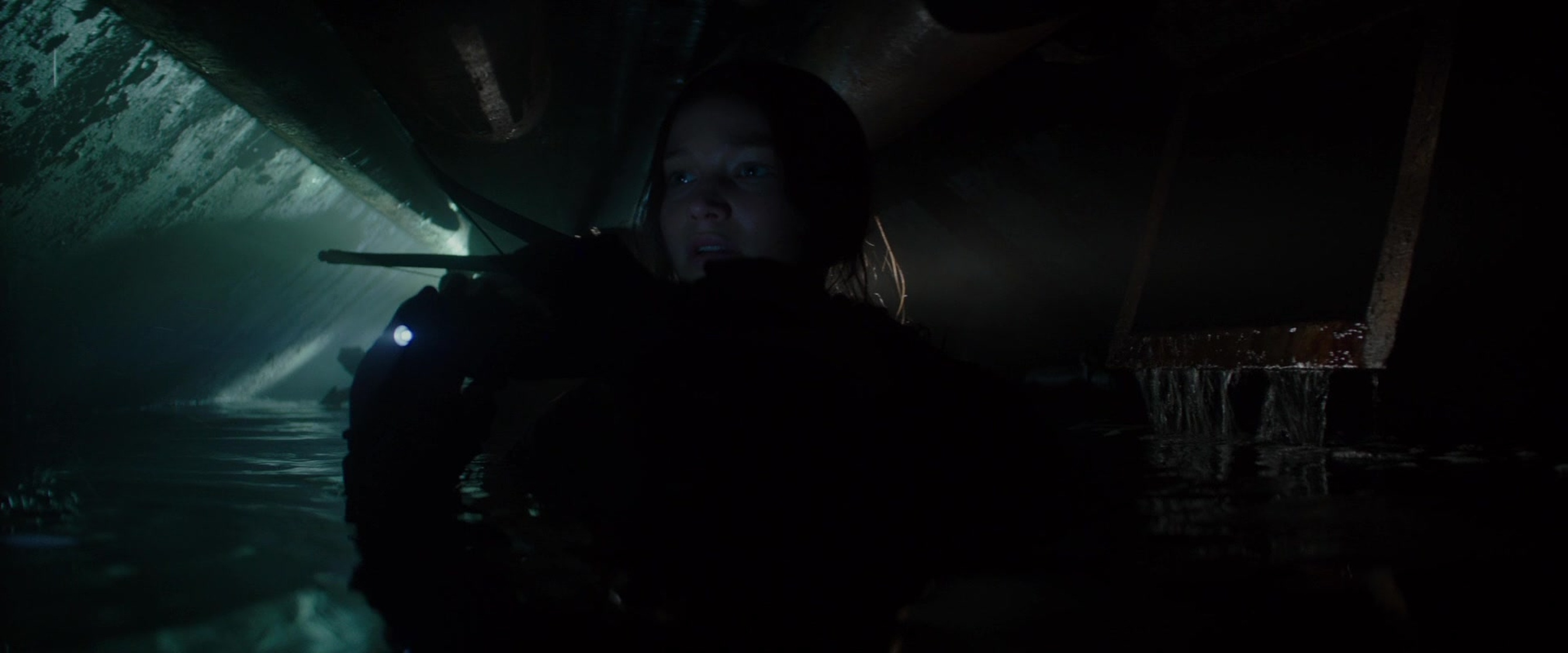 The Hunger Games: Mockingjay - Part 2