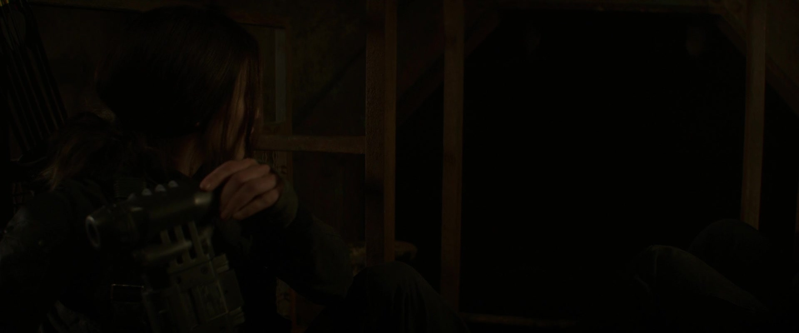 The Hunger Games: Mockingjay - Part 2
