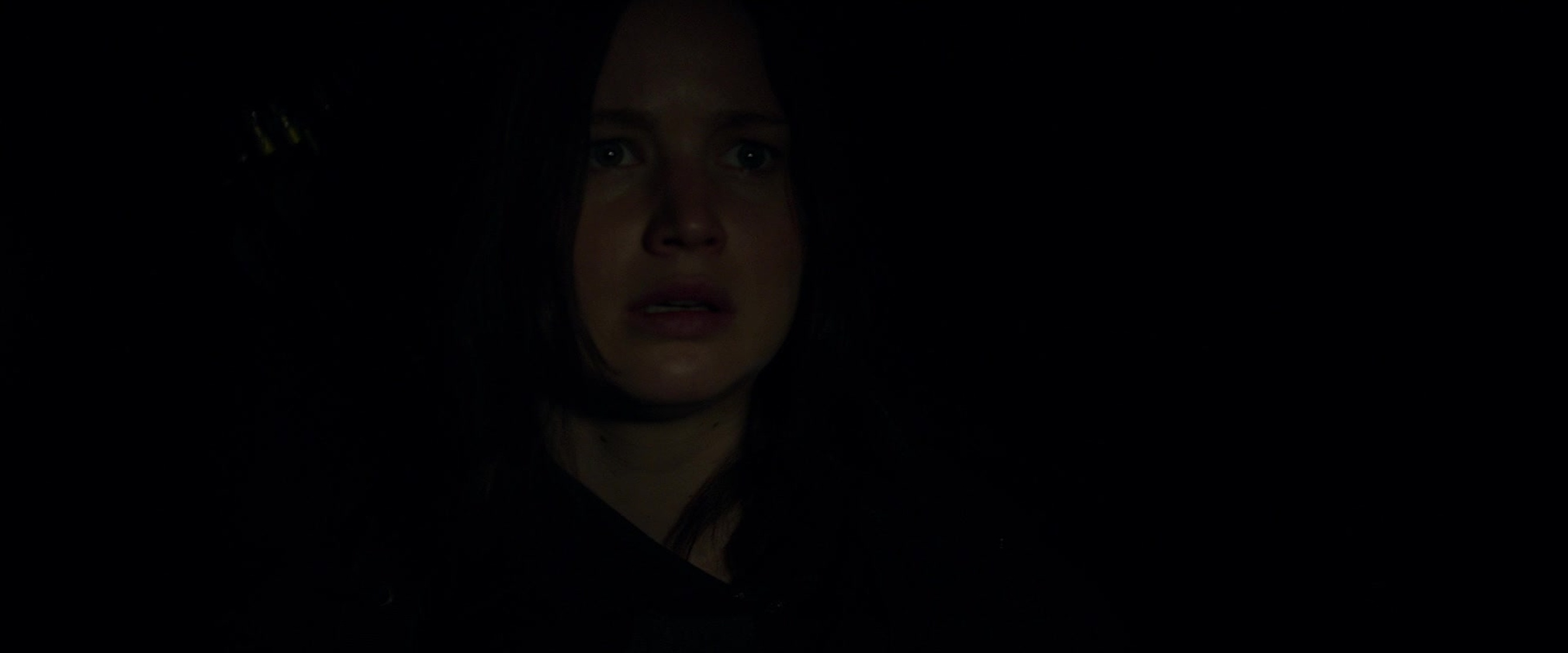 The Hunger Games: Mockingjay - Part 2