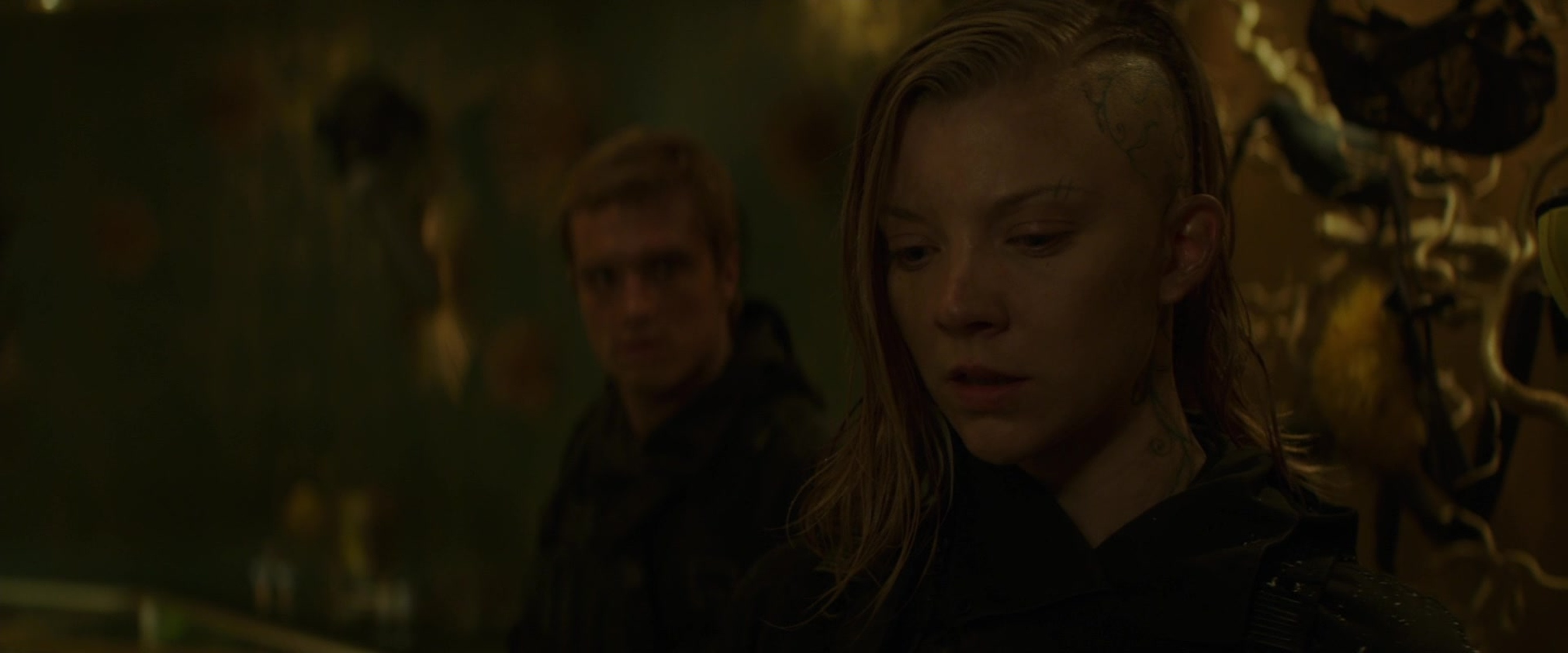 The Hunger Games: Mockingjay - Part 2