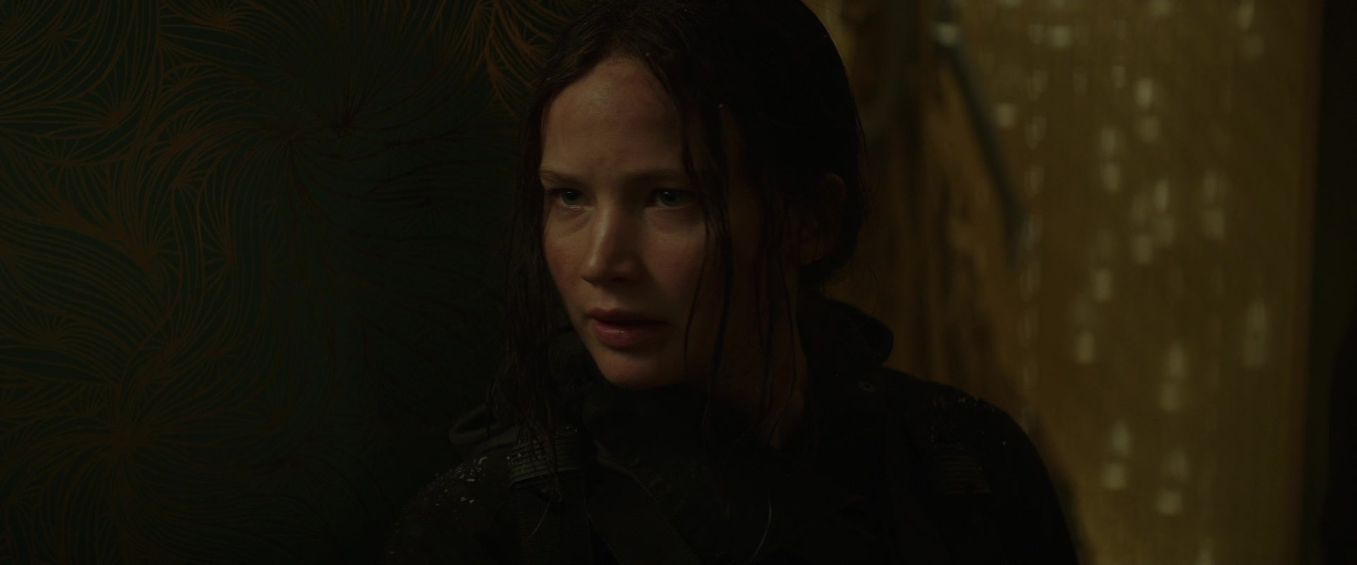 The Hunger Games: Mockingjay - Part 2