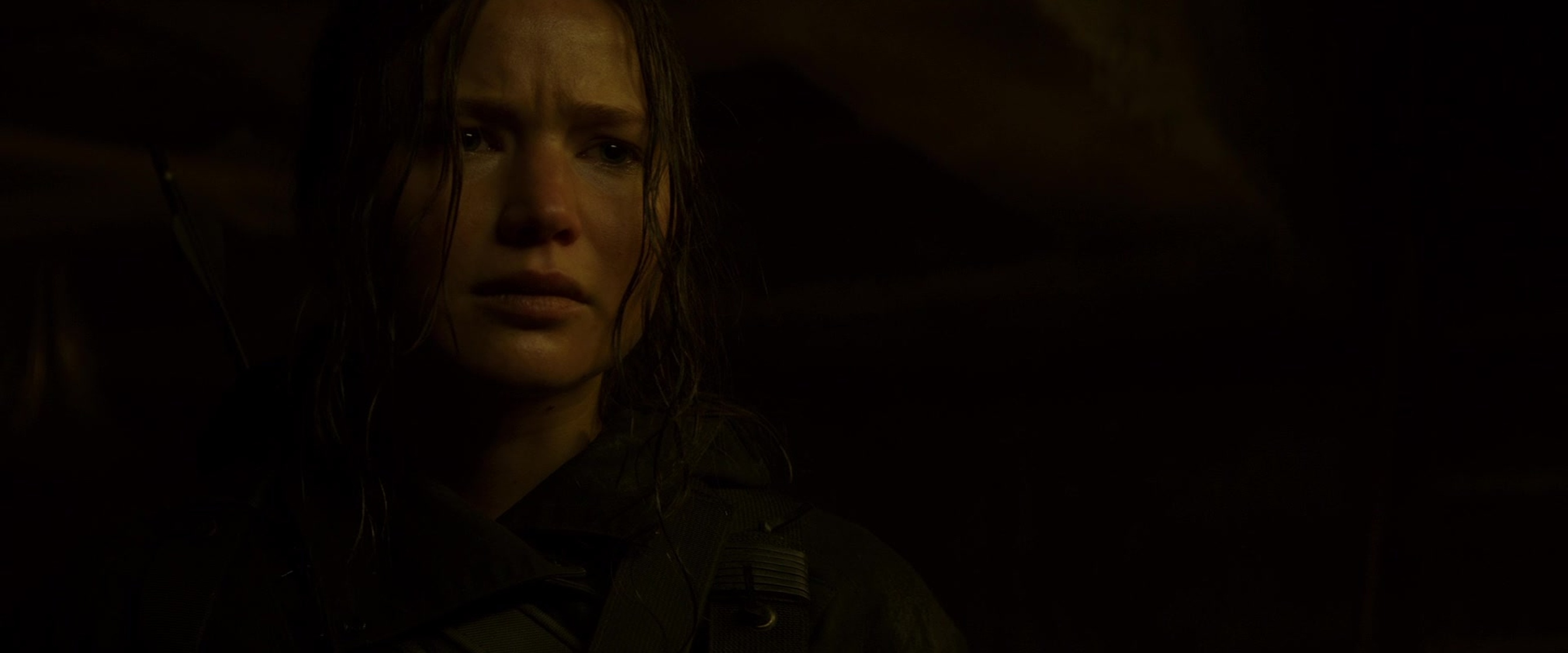 The Hunger Games: Mockingjay - Part 2