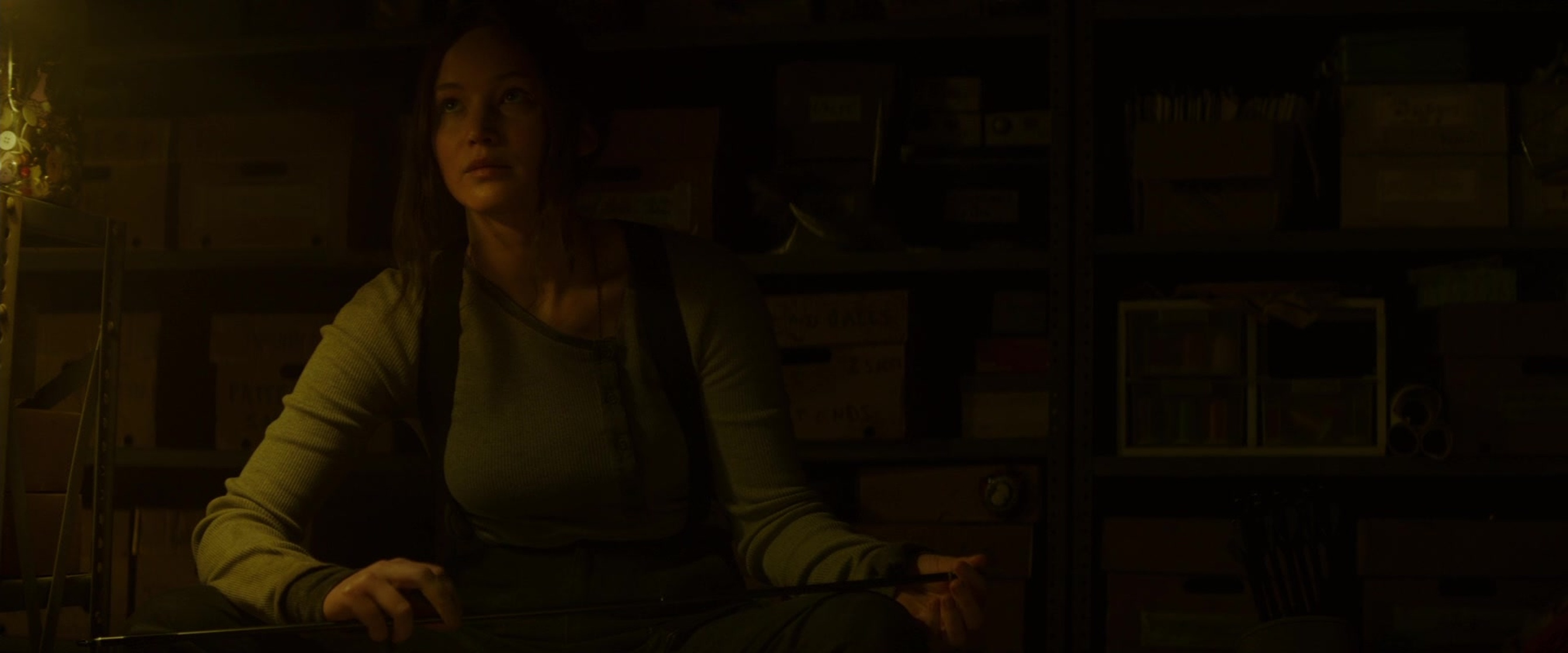 The Hunger Games: Mockingjay - Part 2