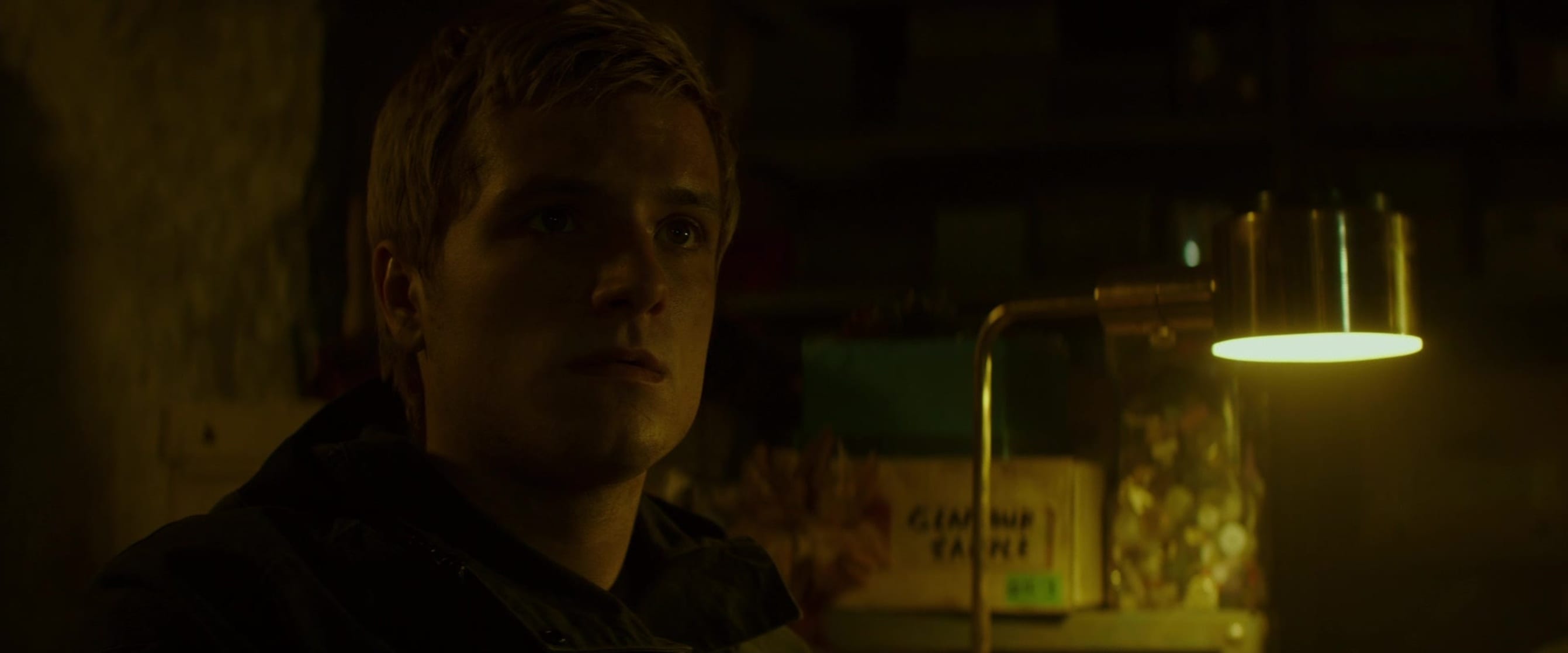 The Hunger Games: Mockingjay - Part 2