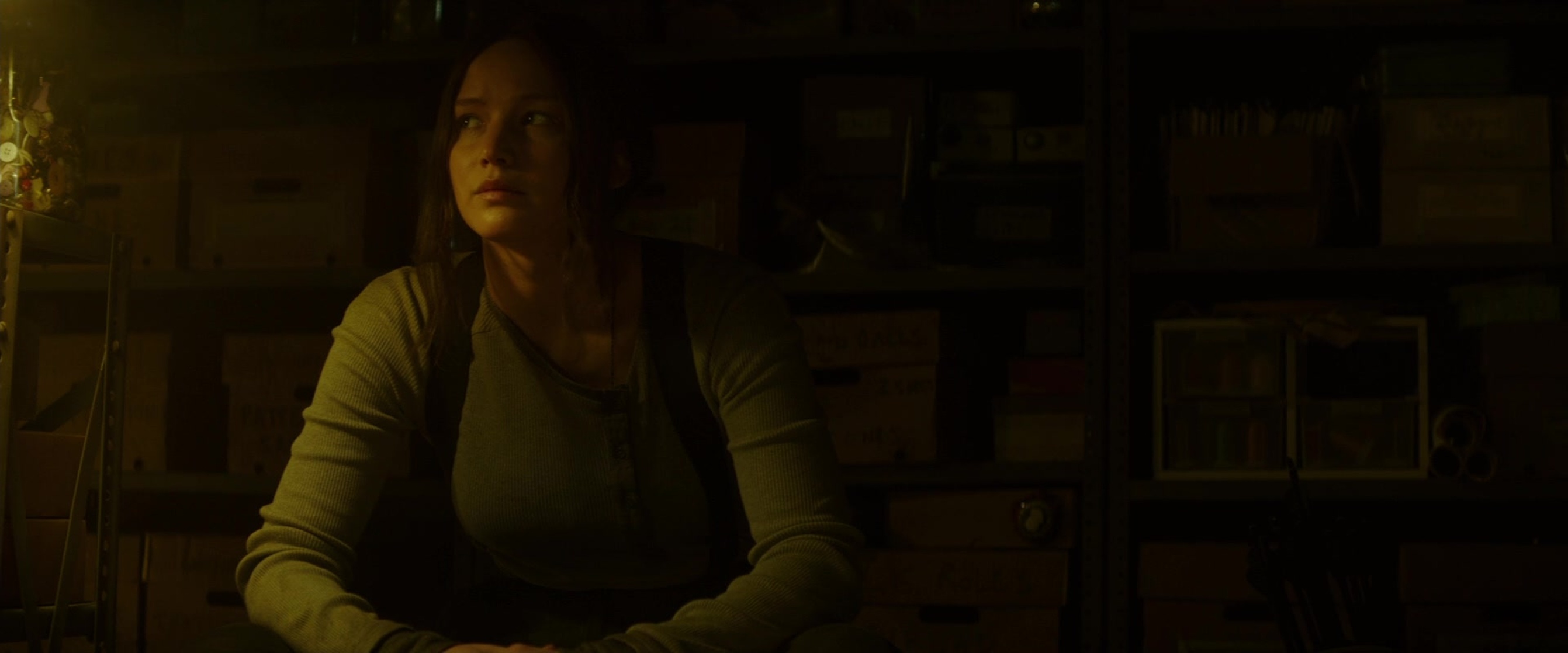 The Hunger Games: Mockingjay - Part 2