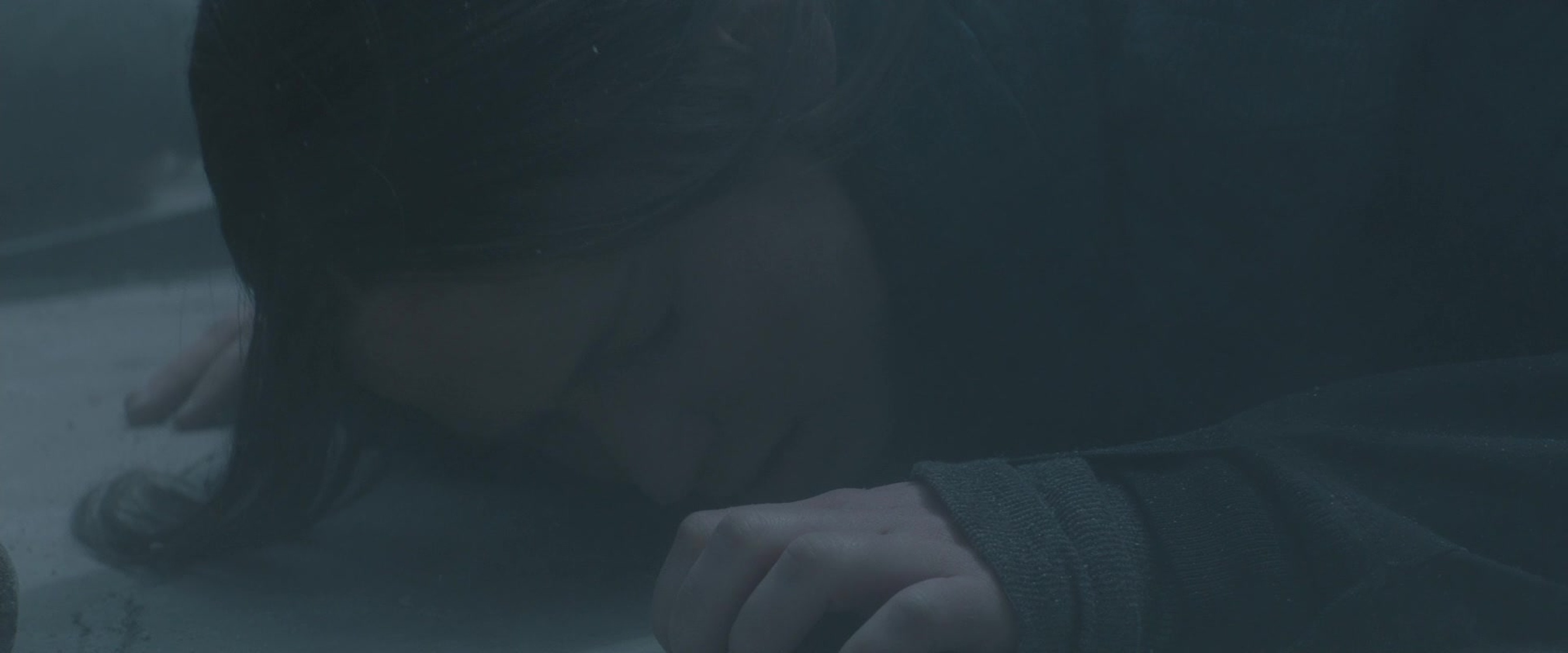 The Hunger Games: Mockingjay - Part 2