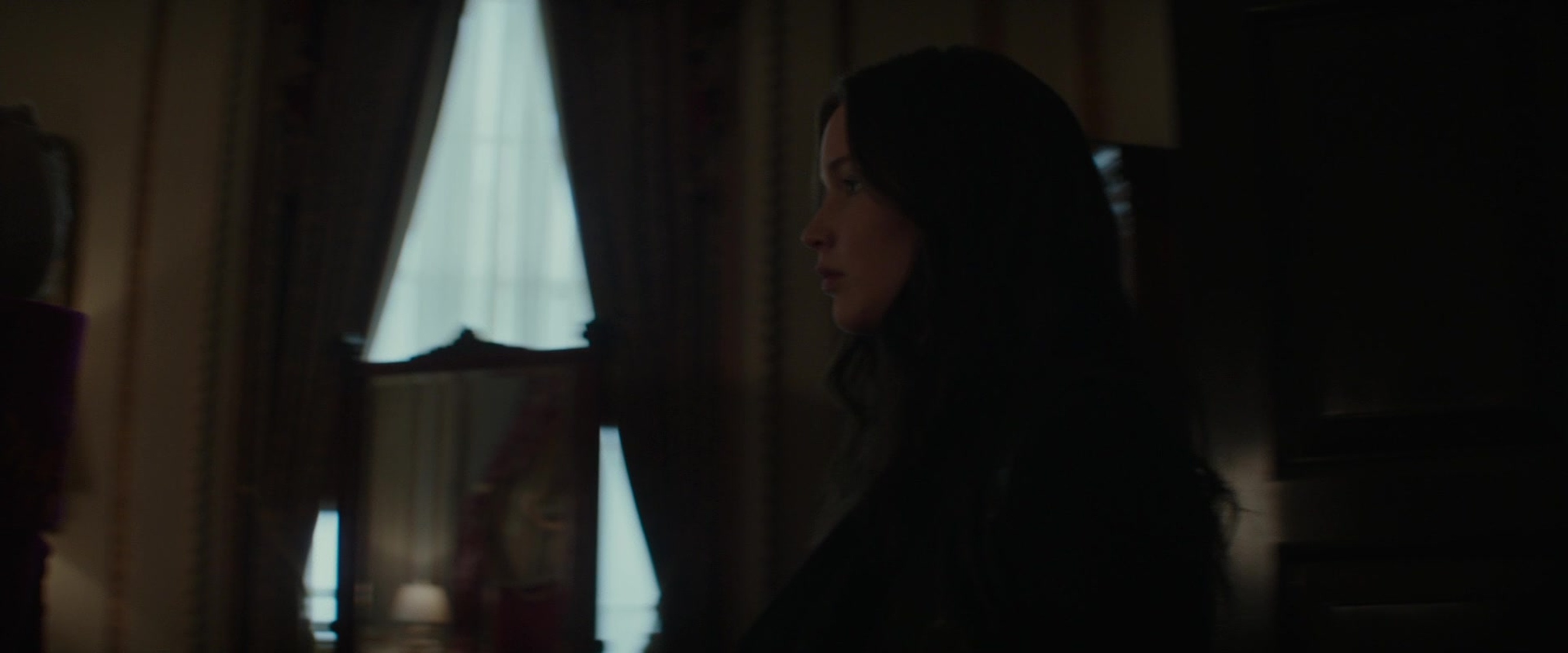 The Hunger Games: Mockingjay - Part 2