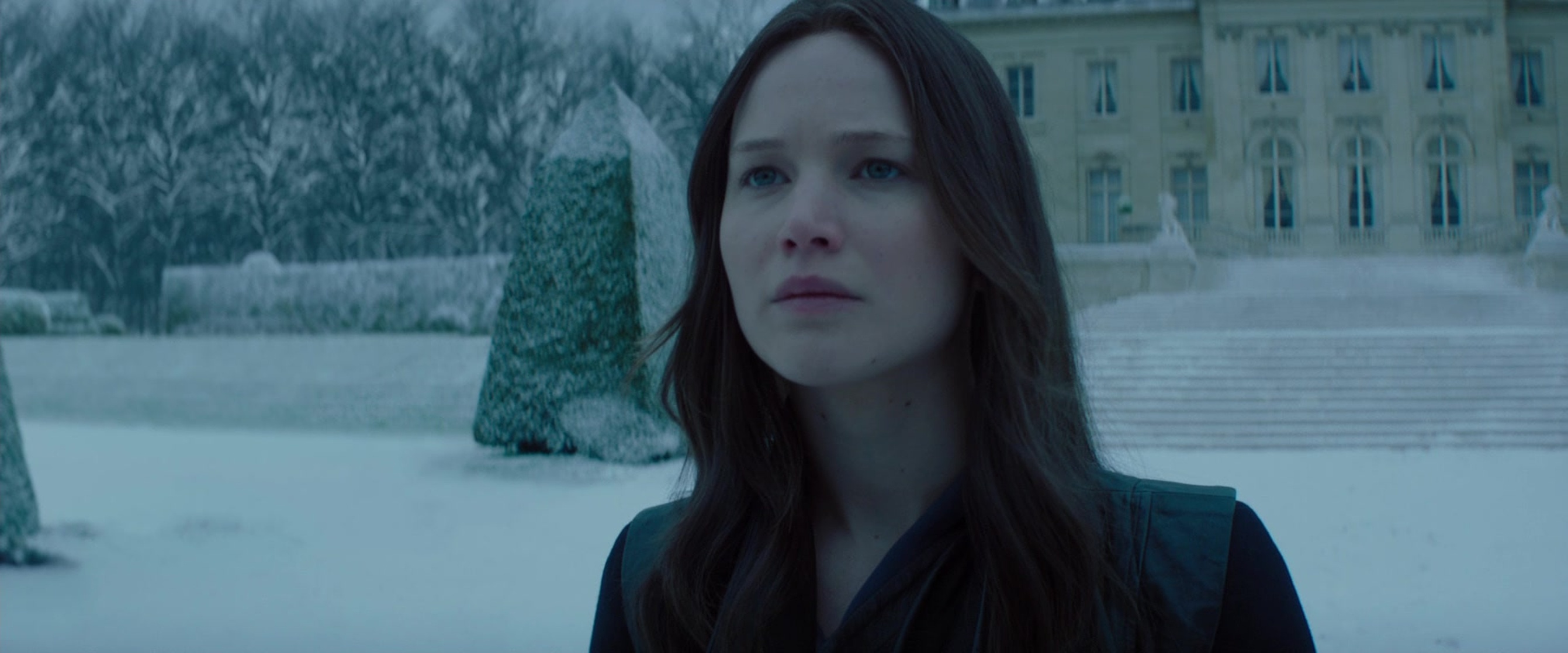The Hunger Games: Mockingjay - Part 2