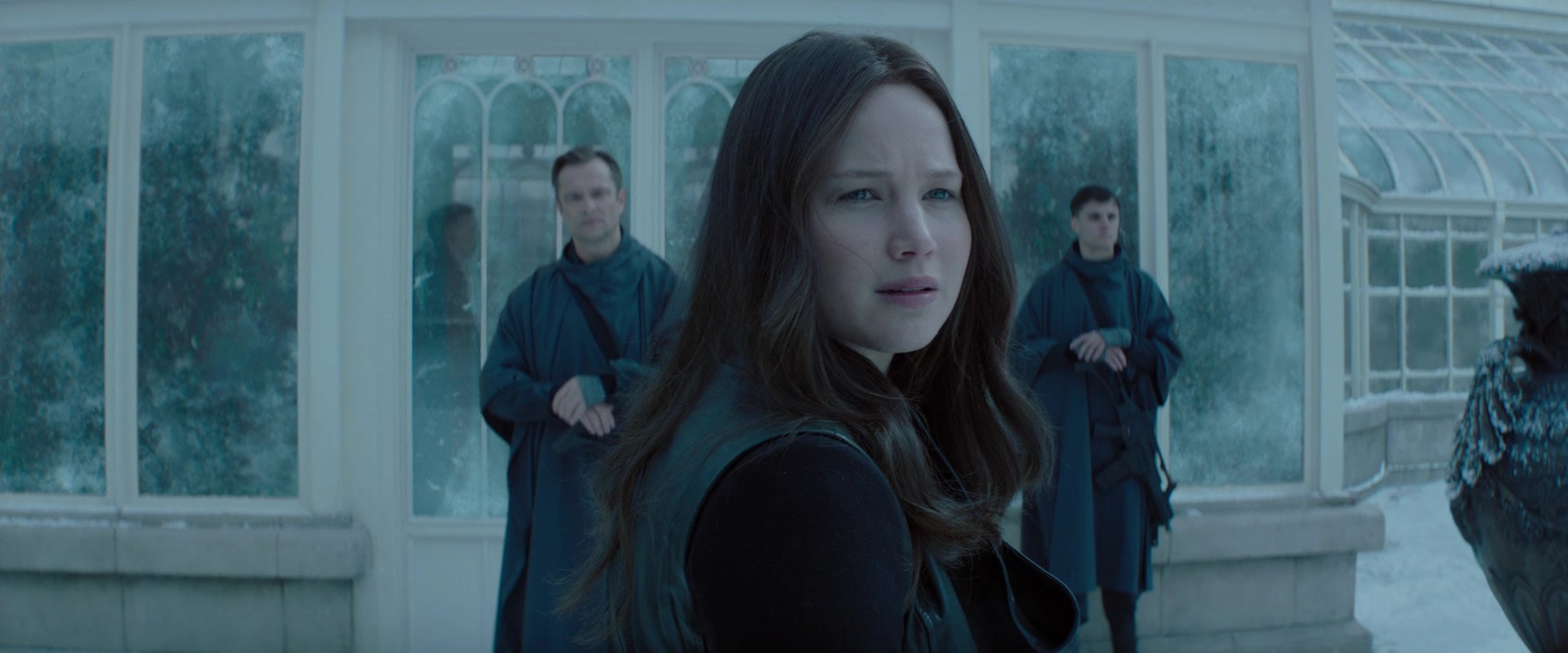The Hunger Games: Mockingjay - Part 2