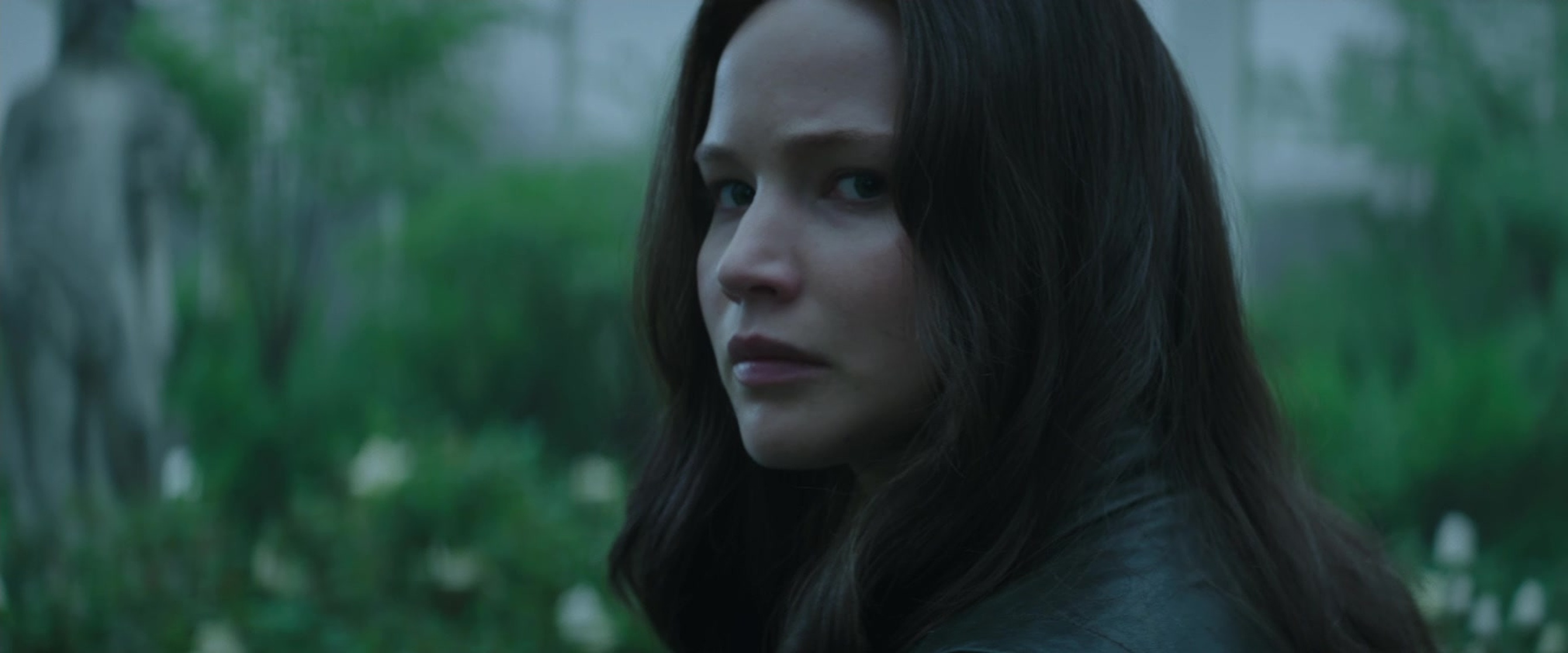 The Hunger Games: Mockingjay - Part 2