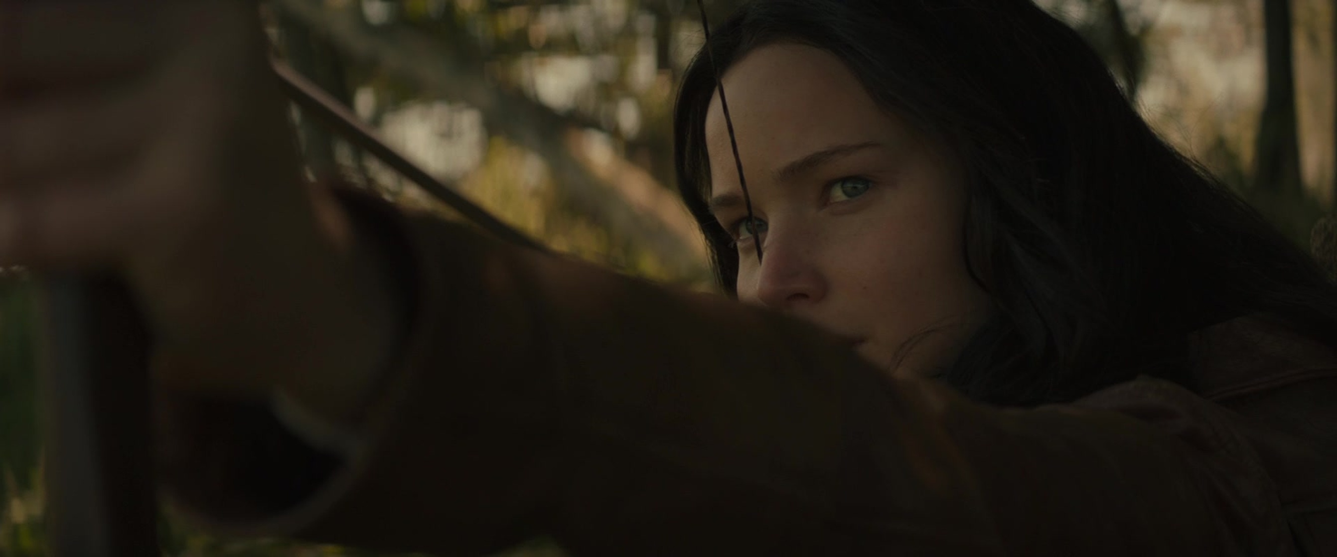 The Hunger Games: Mockingjay - Part 2