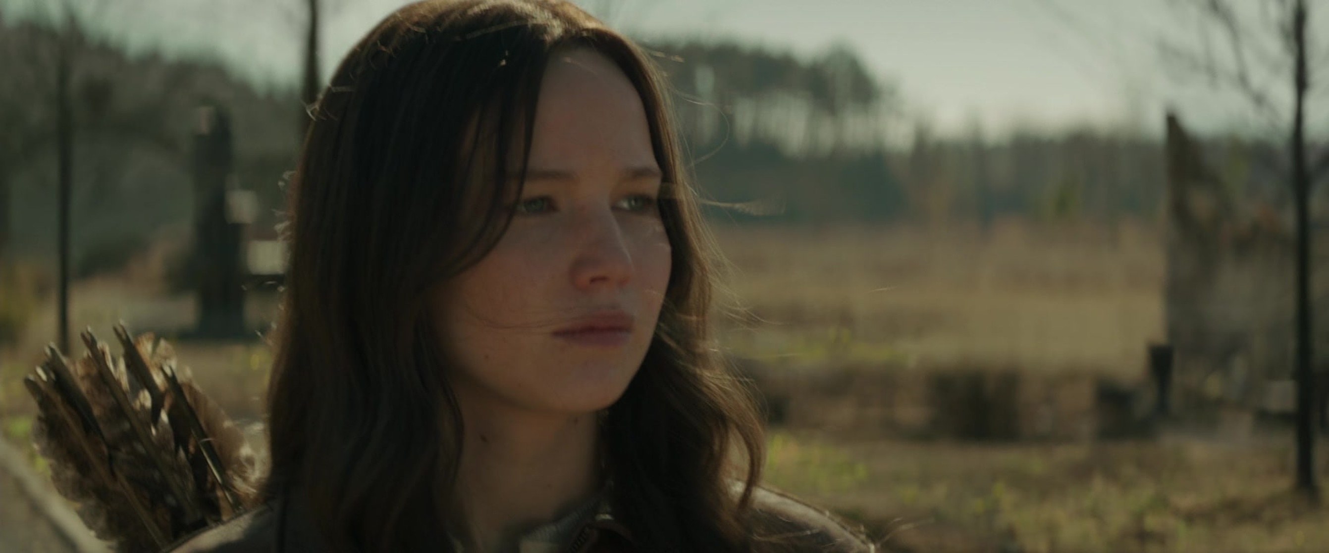 The Hunger Games: Mockingjay - Part 2