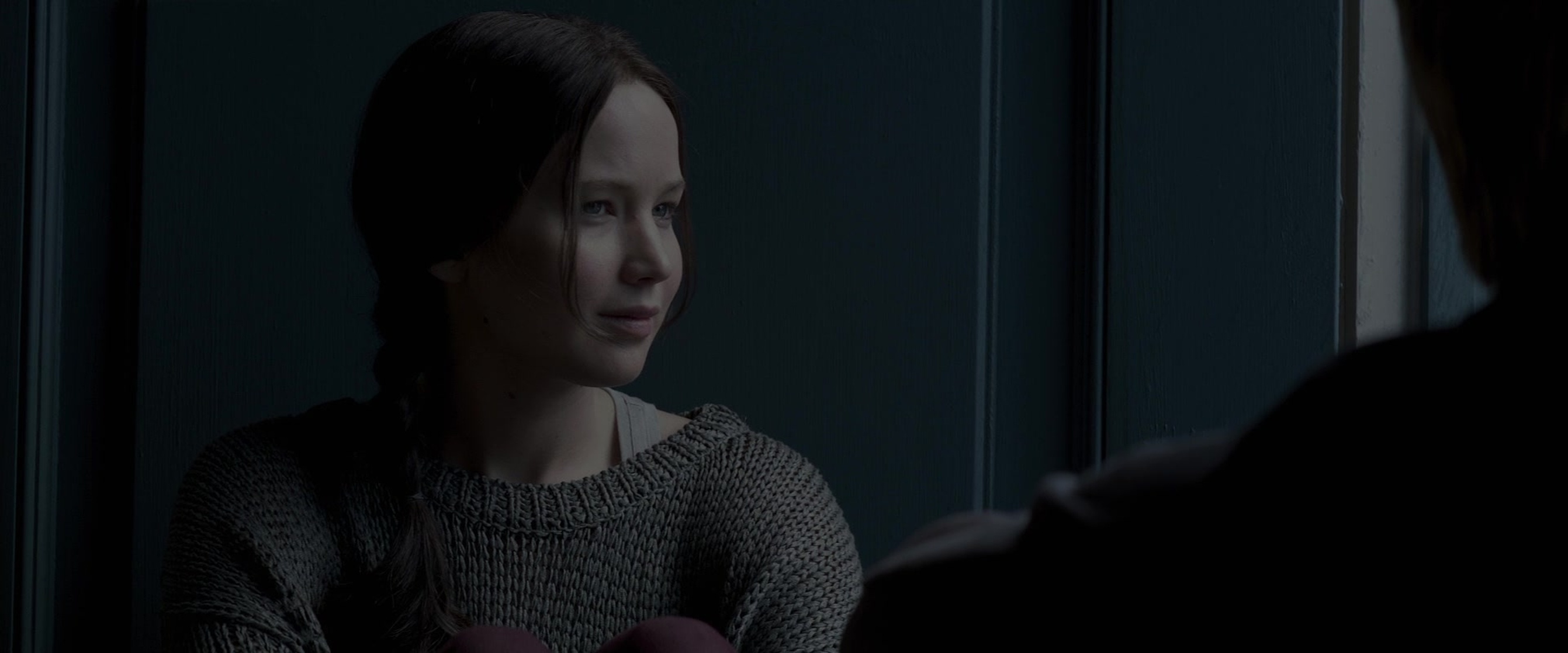 The Hunger Games: Mockingjay - Part 2
