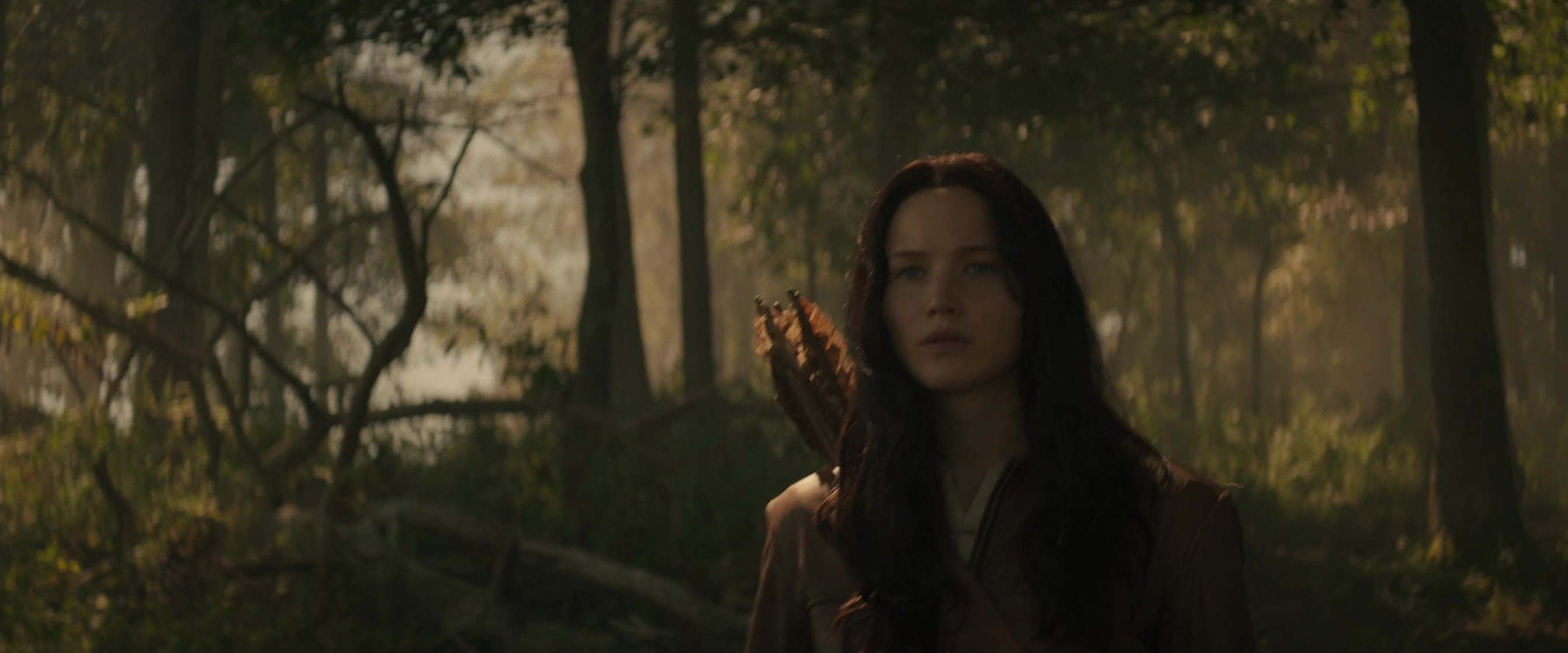 The Hunger Games: Mockingjay - Part 2