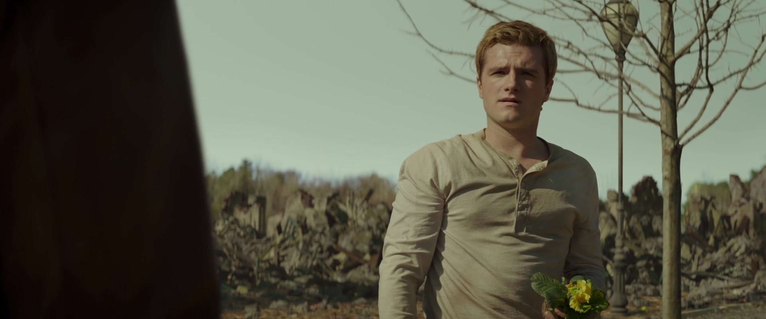 The Hunger Games: Mockingjay - Part 2