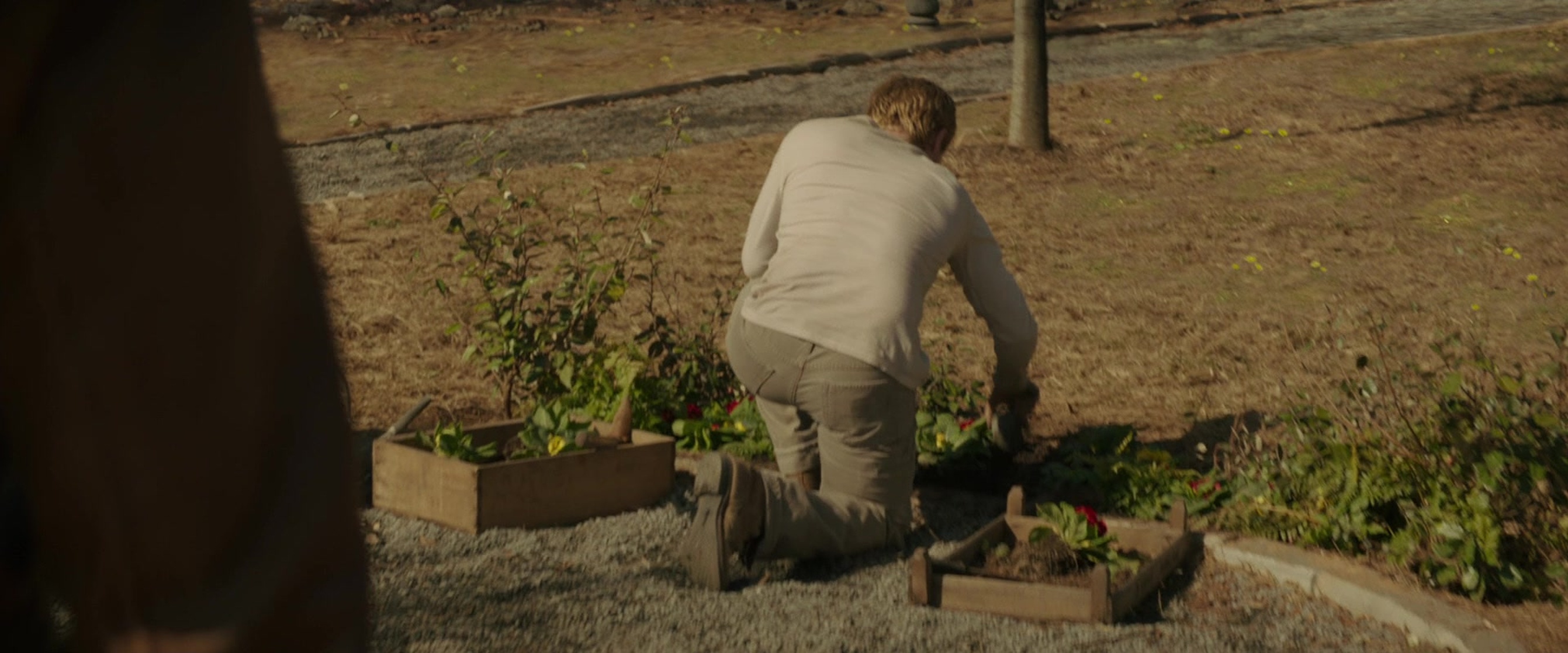 The Hunger Games: Mockingjay - Part 2