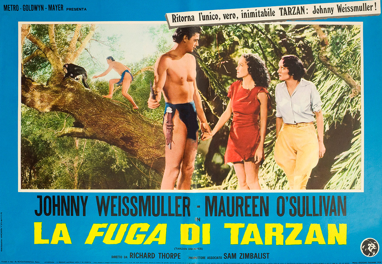 Tarzan Escapes                                  (1936)