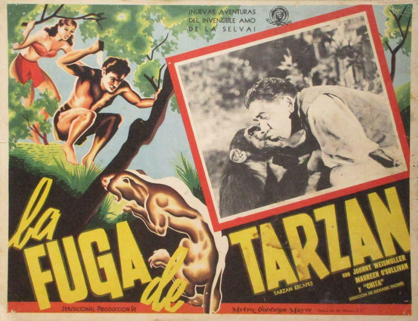 Tarzan Escapes                                  (1936)