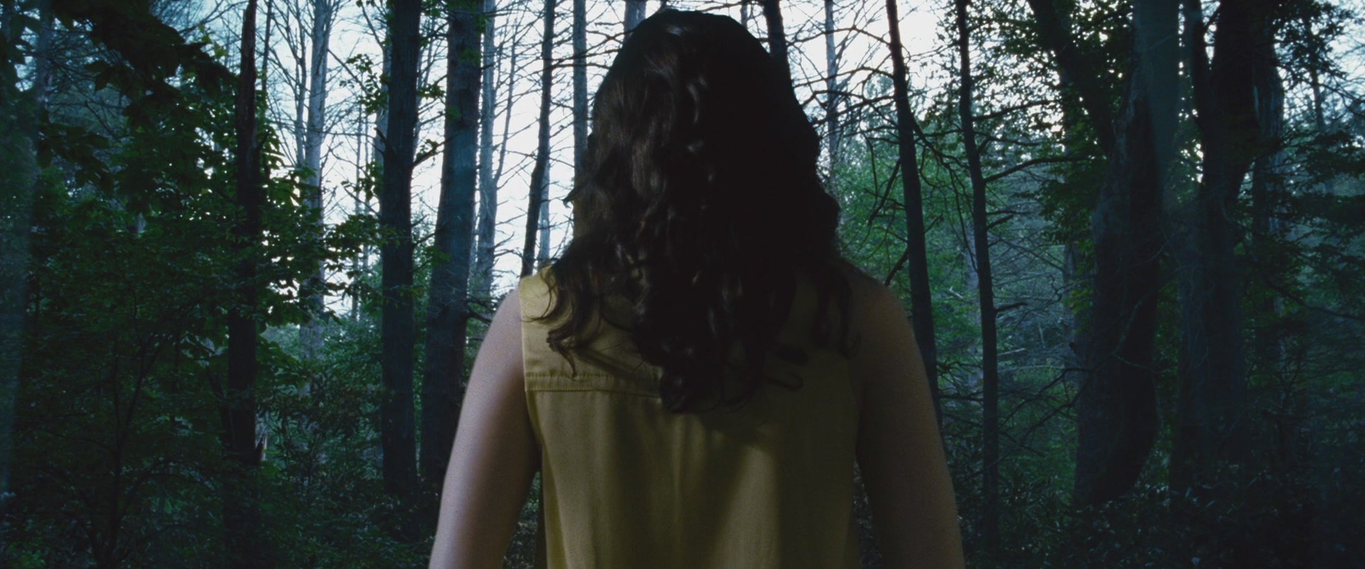 The Hunger Games