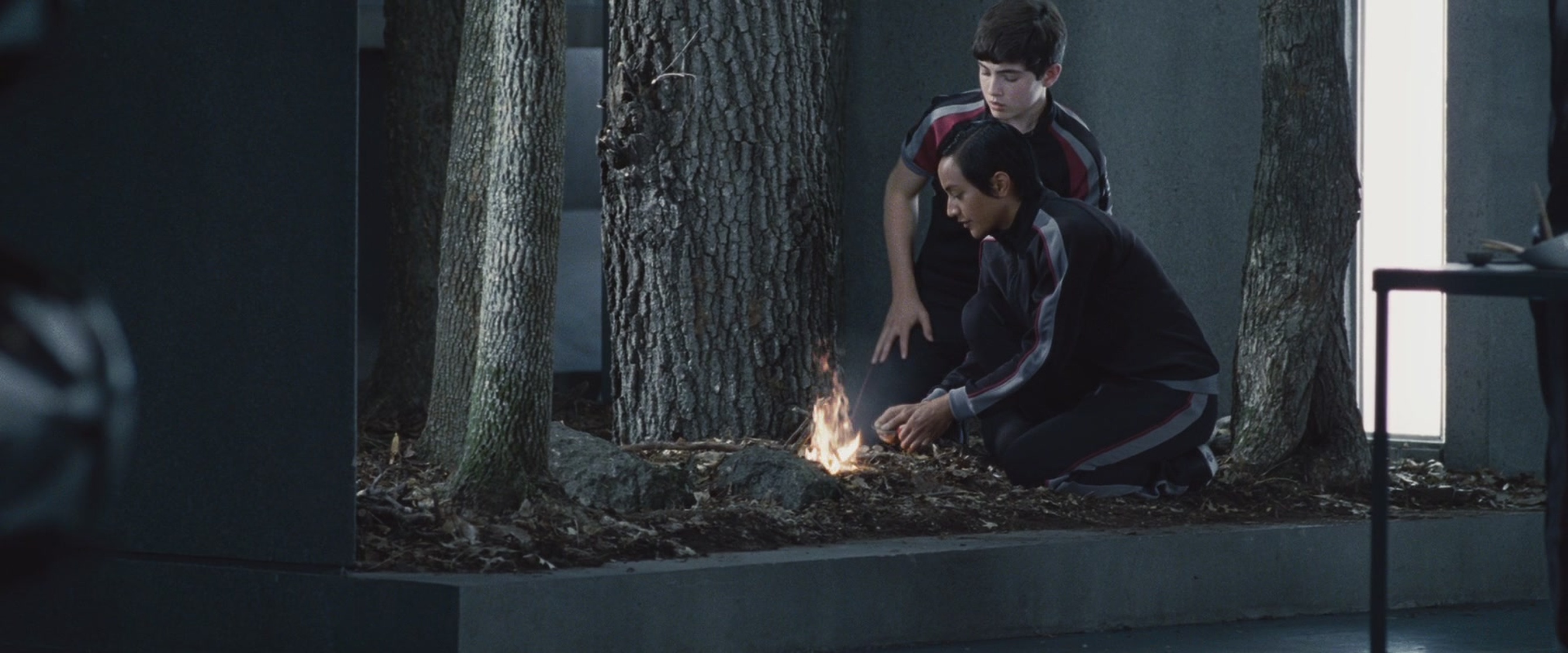 The Hunger Games