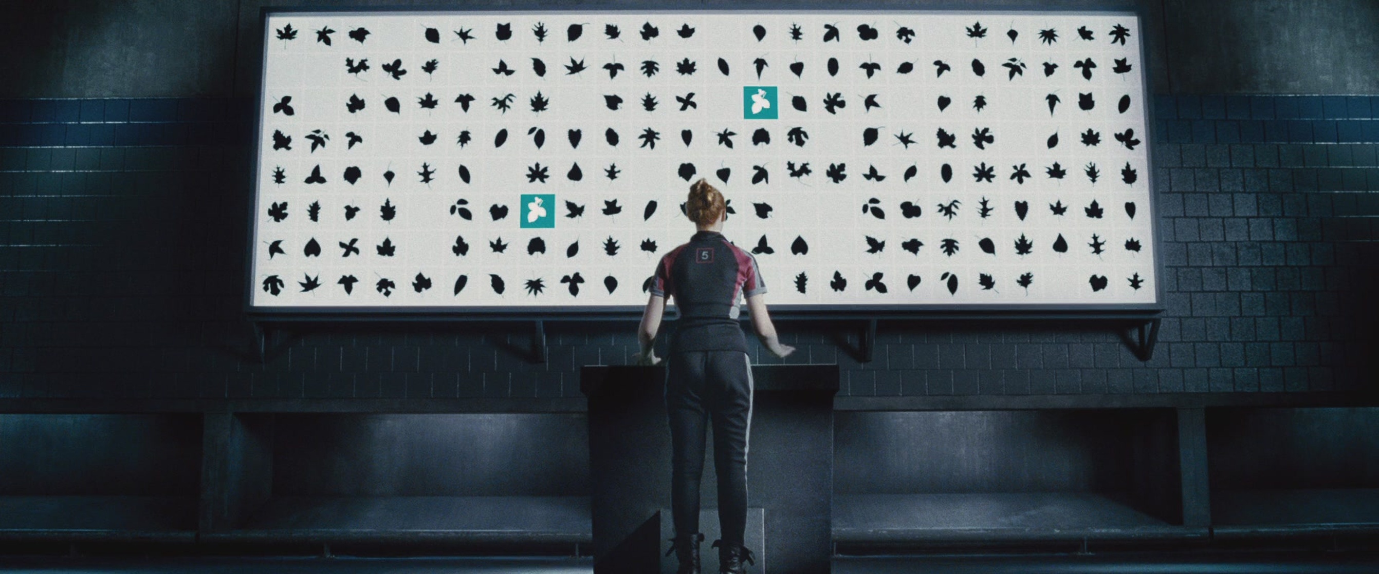 The Hunger Games