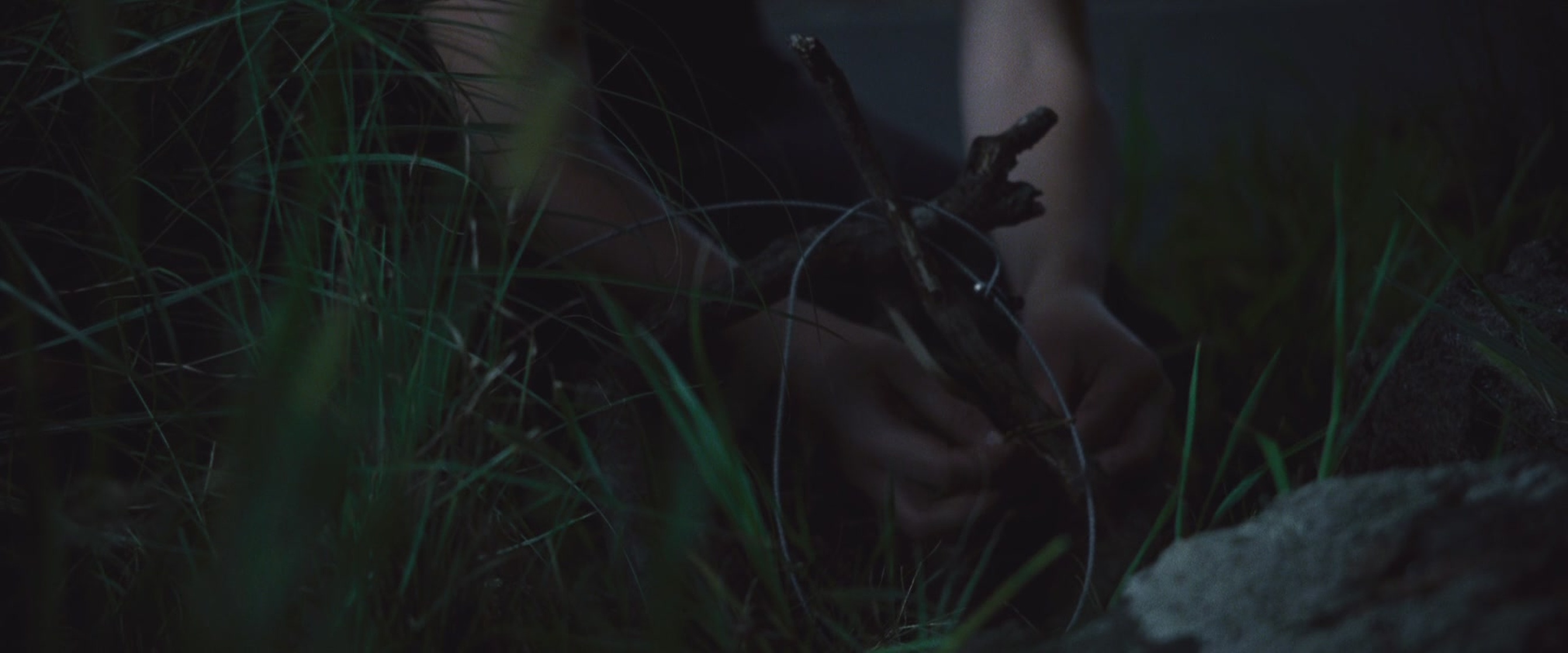 The Hunger Games