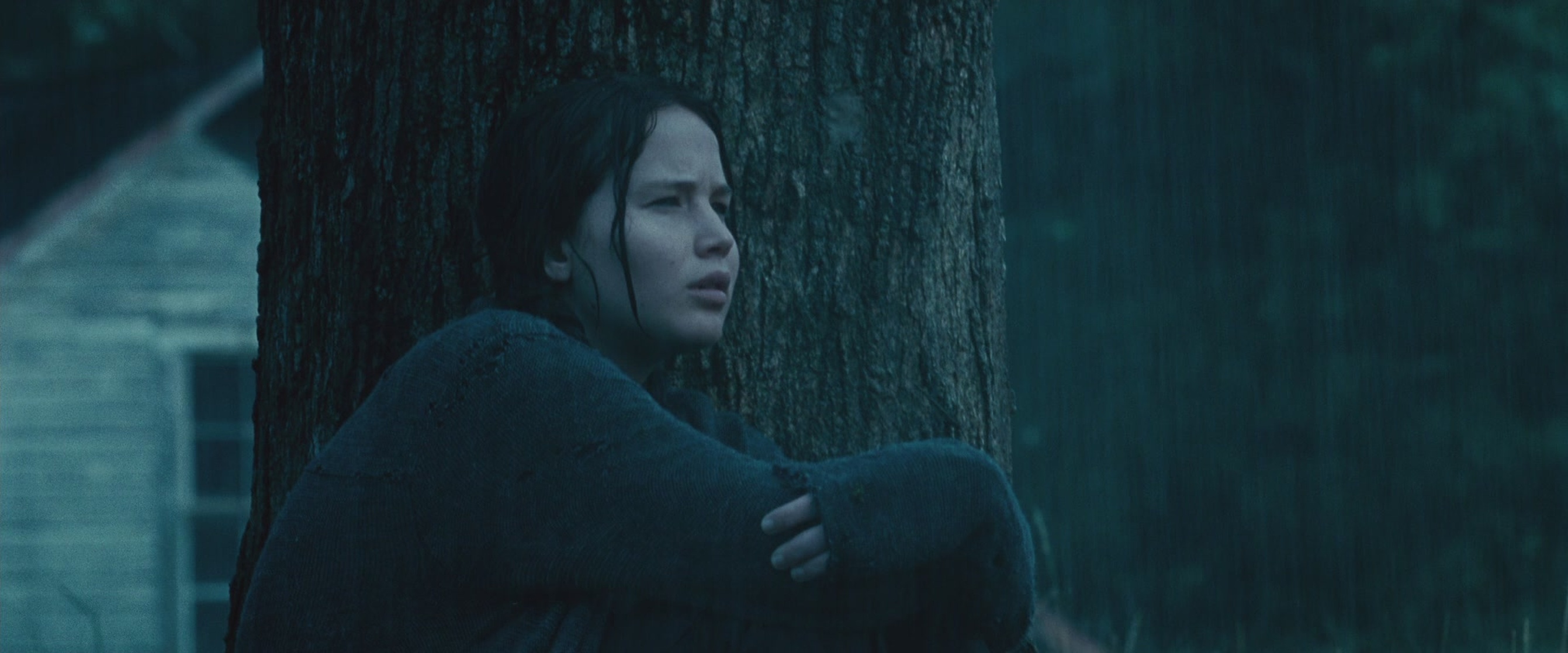 The Hunger Games