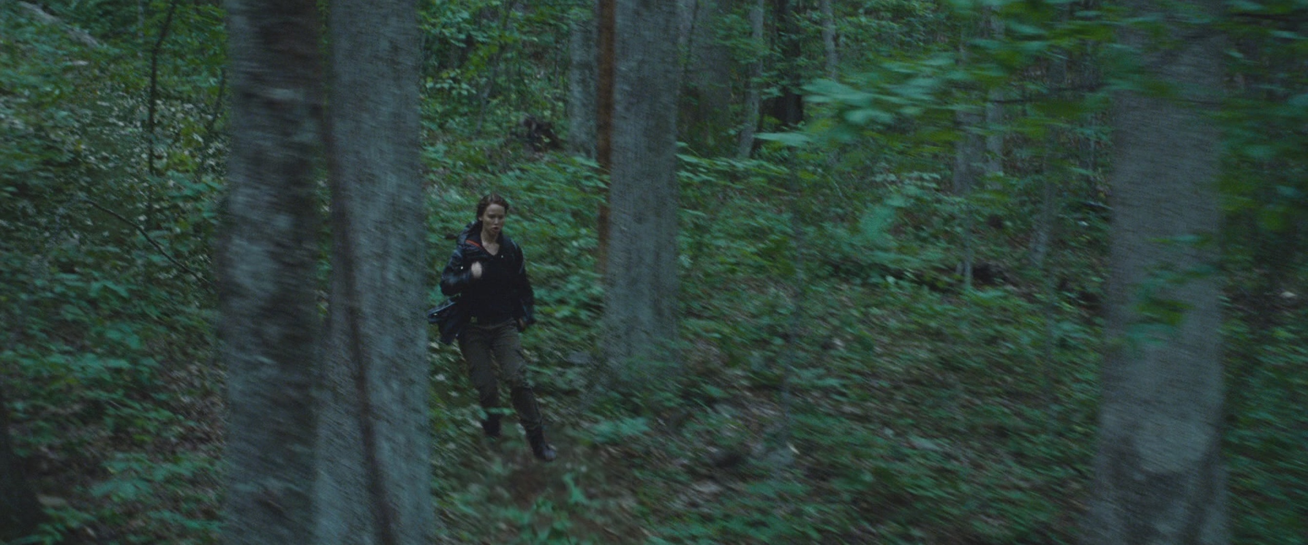 The Hunger Games
