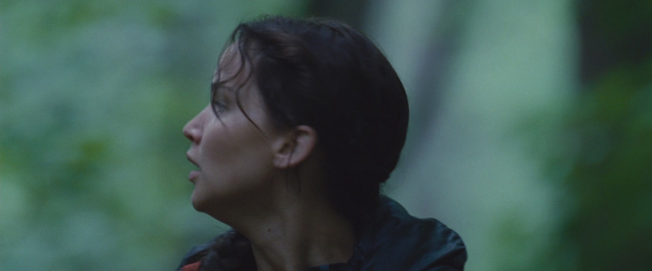 The Hunger Games