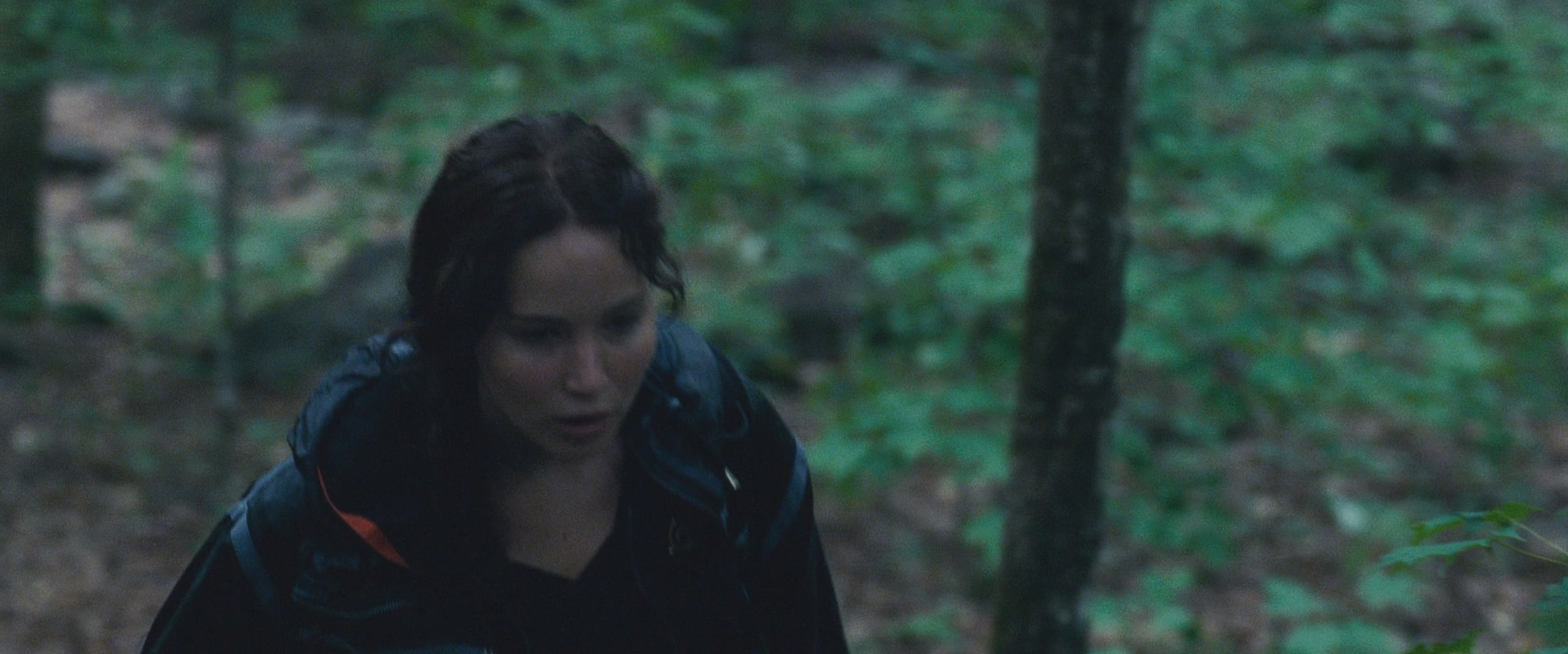 The Hunger Games