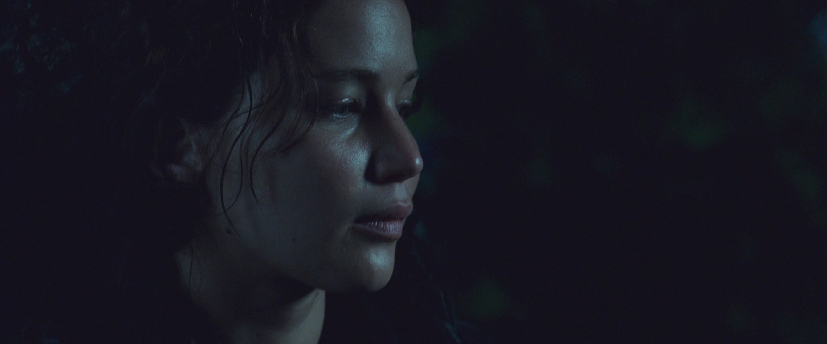 The Hunger Games