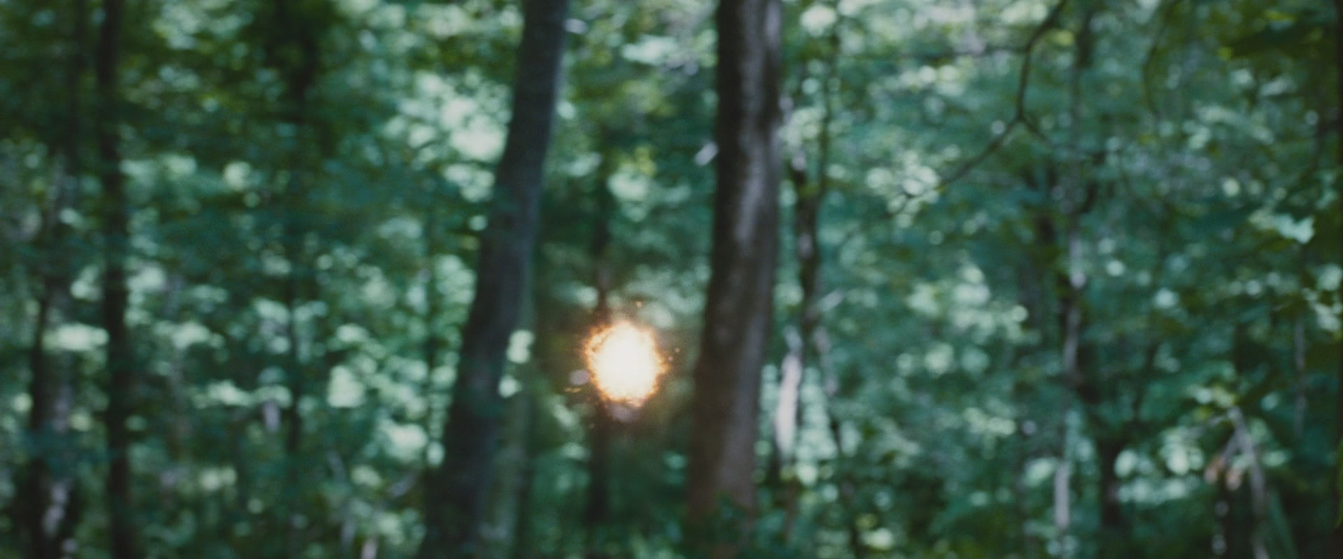 The Hunger Games