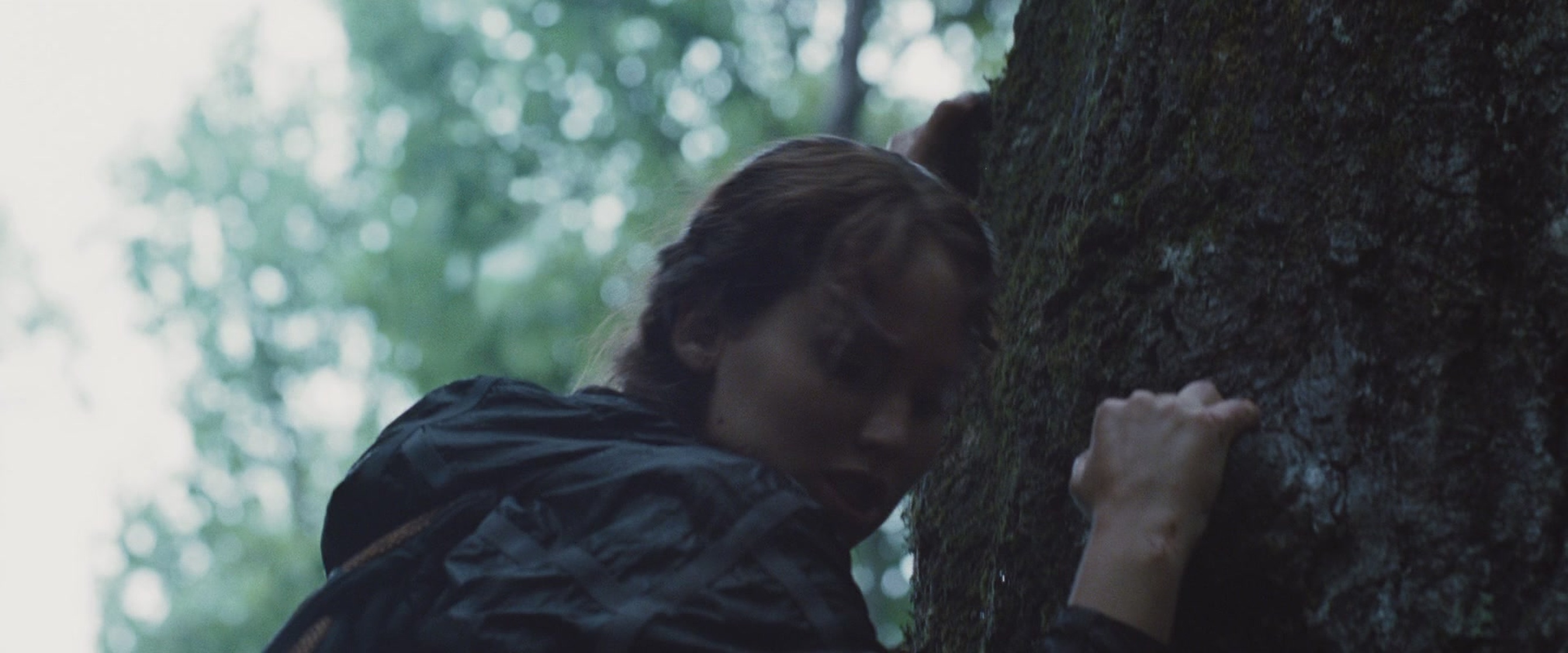 The Hunger Games
