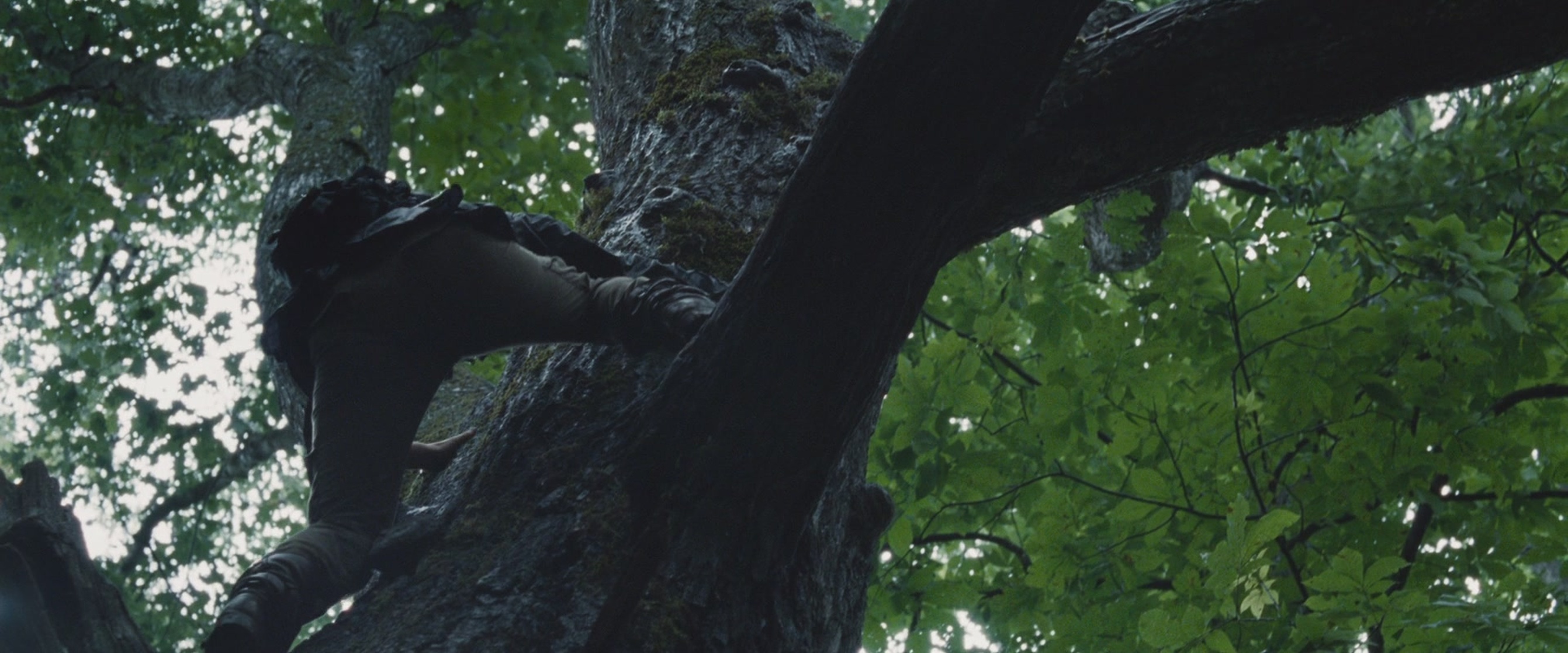 The Hunger Games