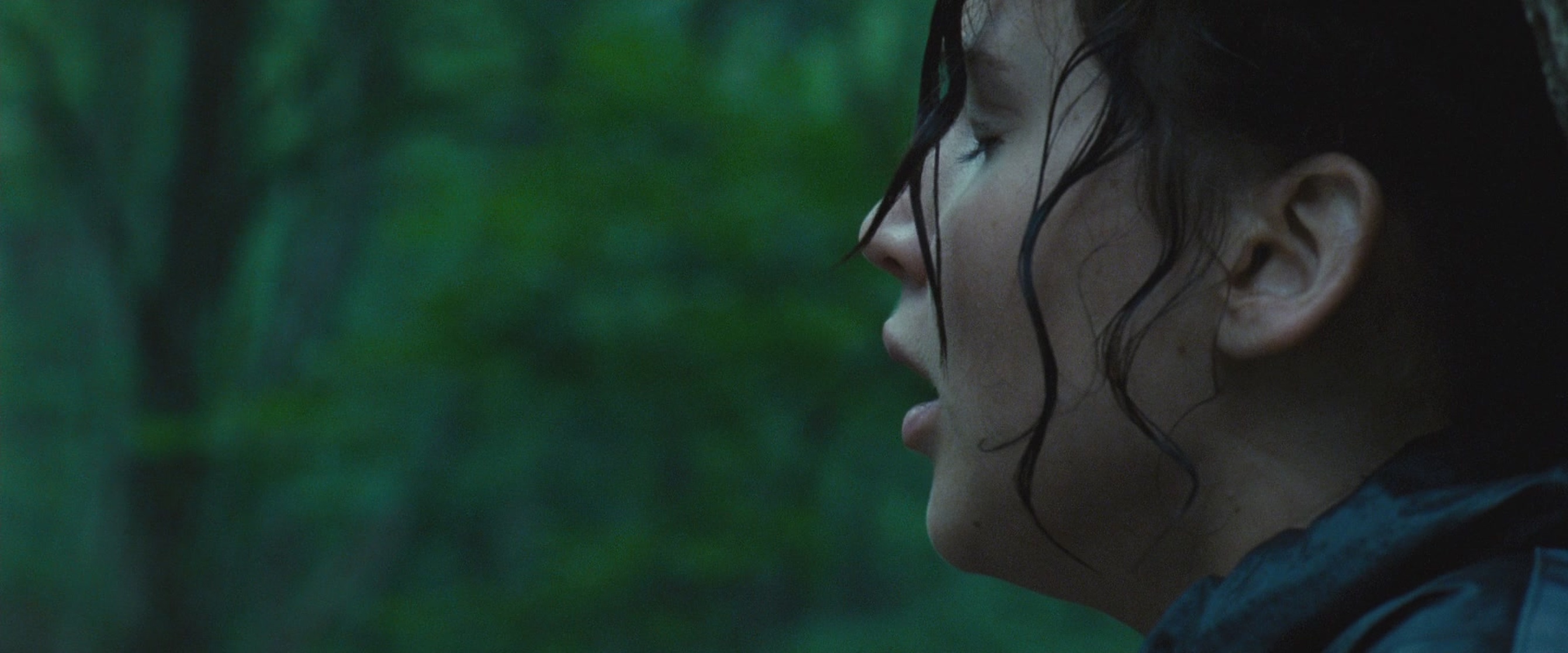 The Hunger Games