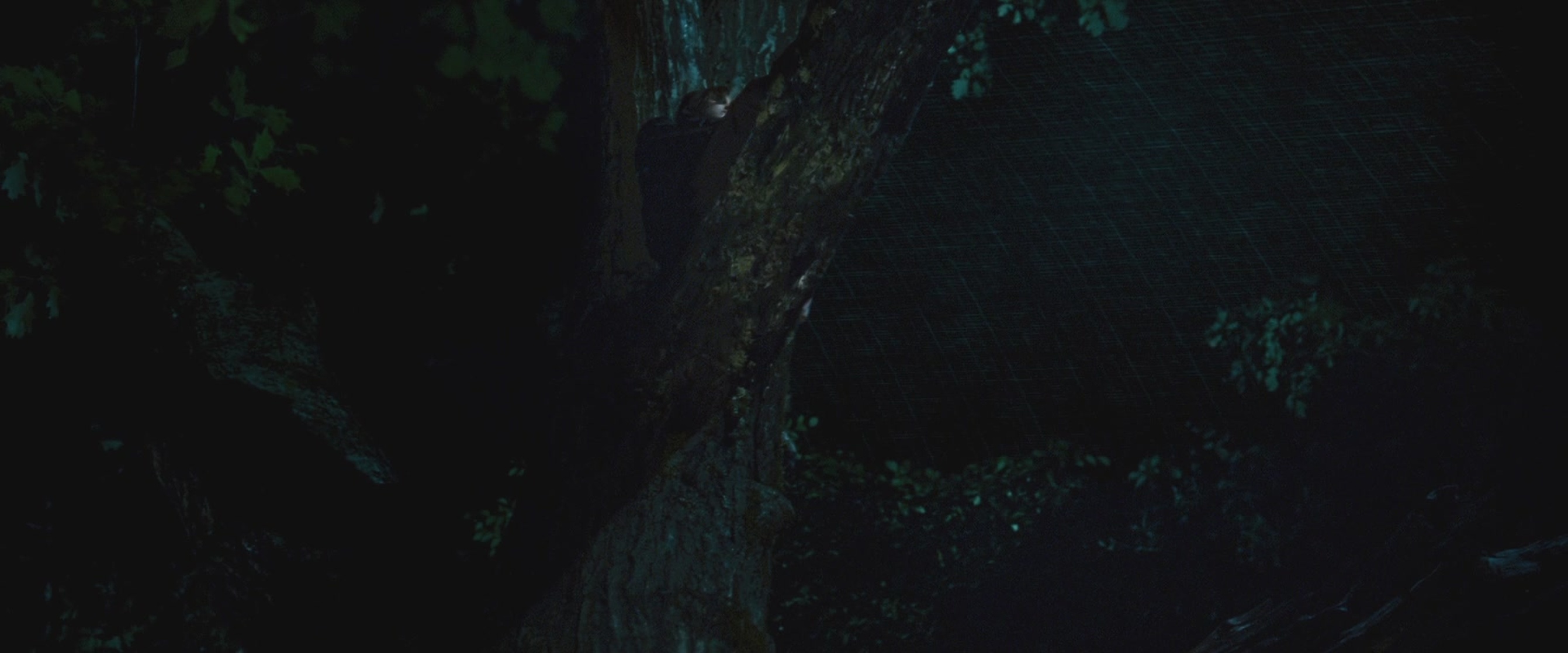 The Hunger Games