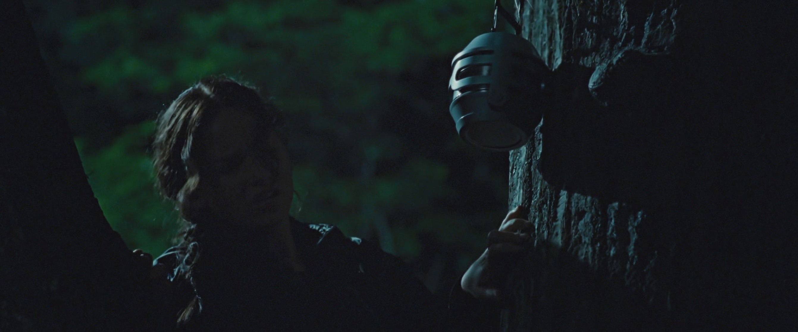 The Hunger Games