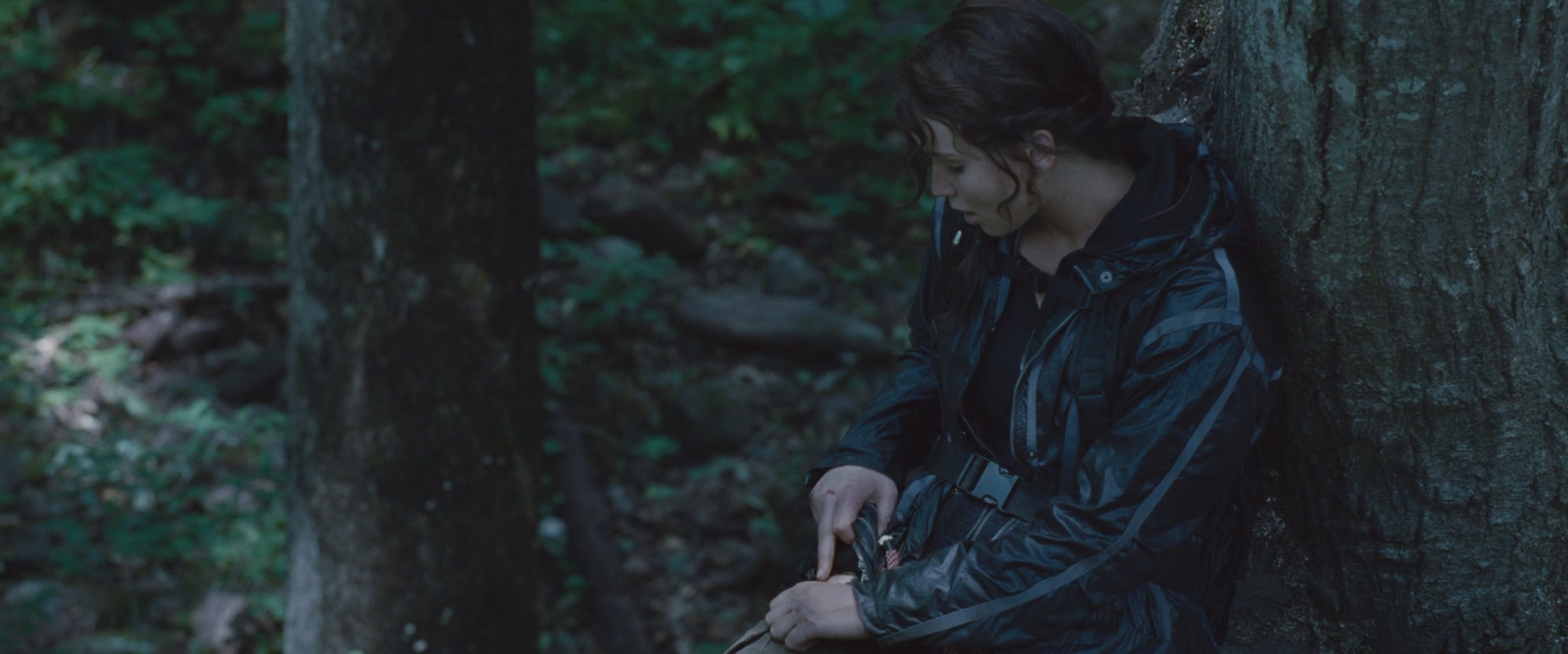 The Hunger Games
