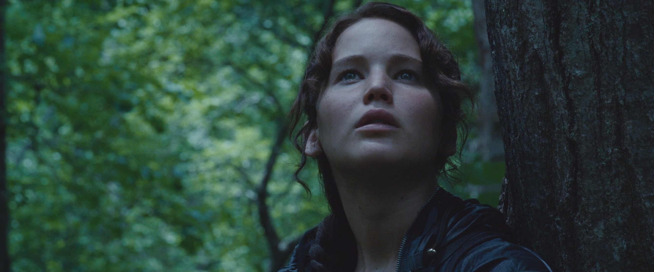 The Hunger Games