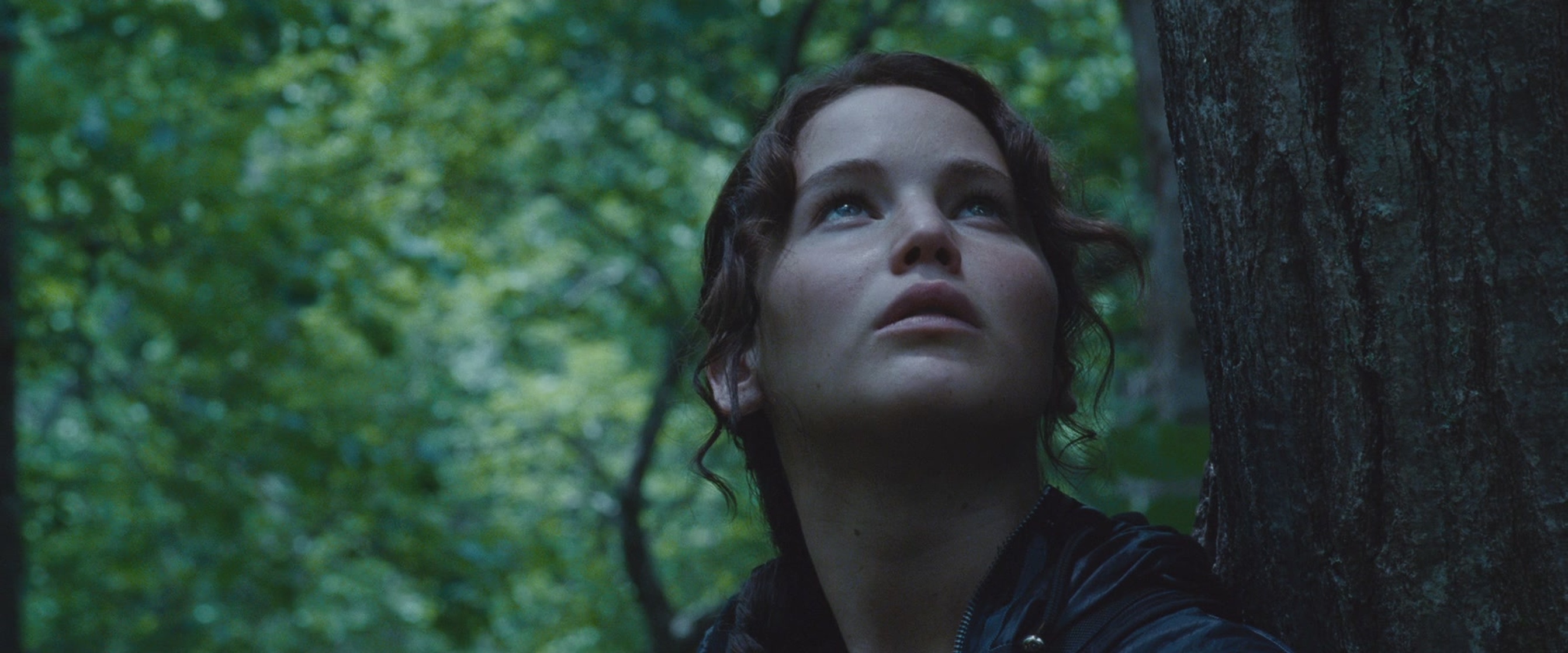 The Hunger Games
