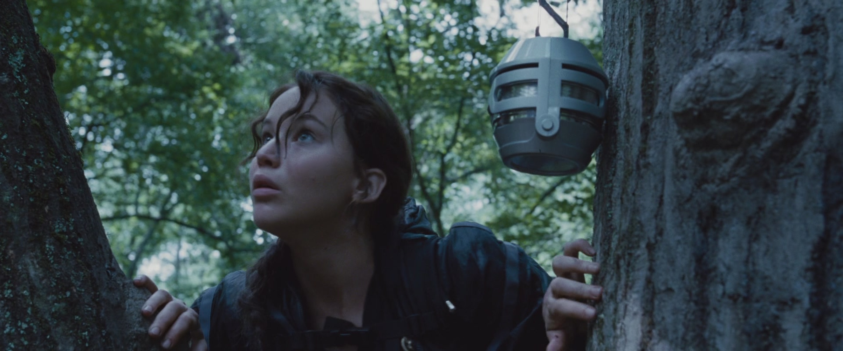 The Hunger Games