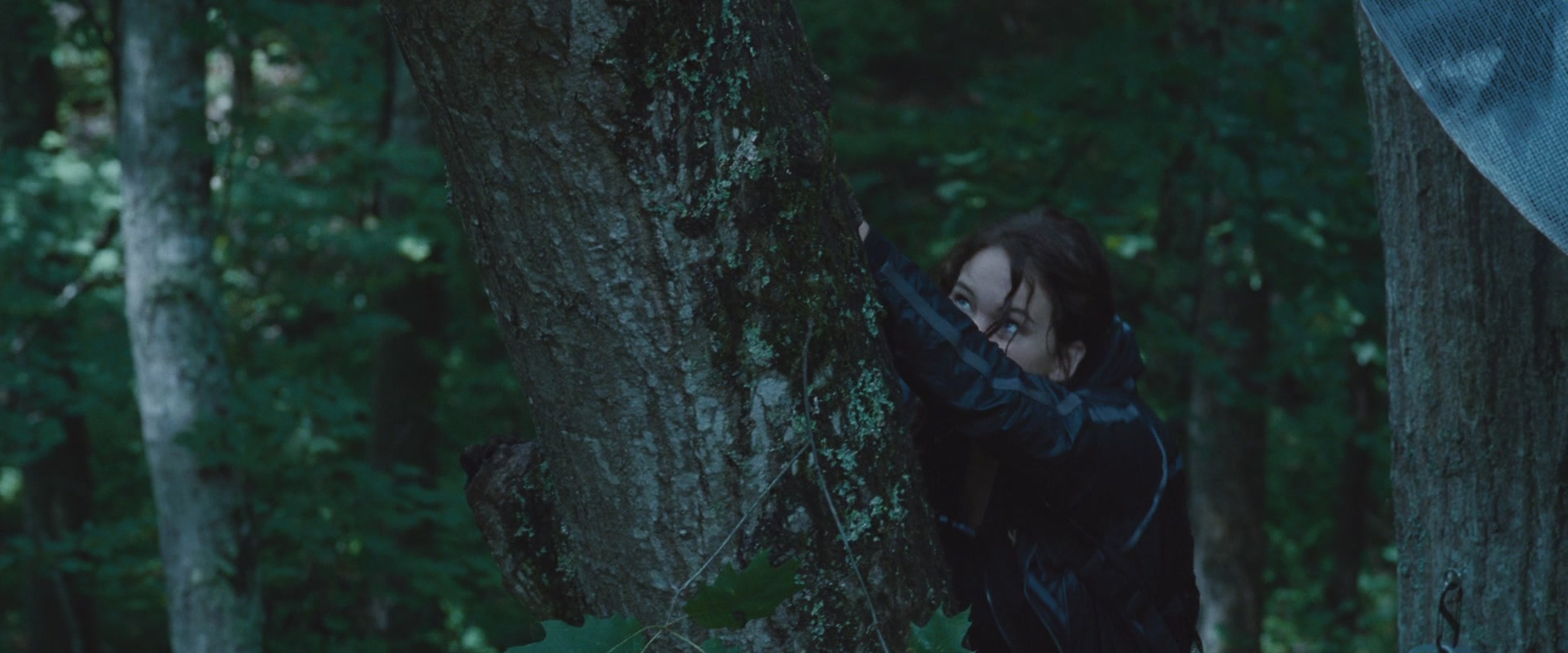 The Hunger Games