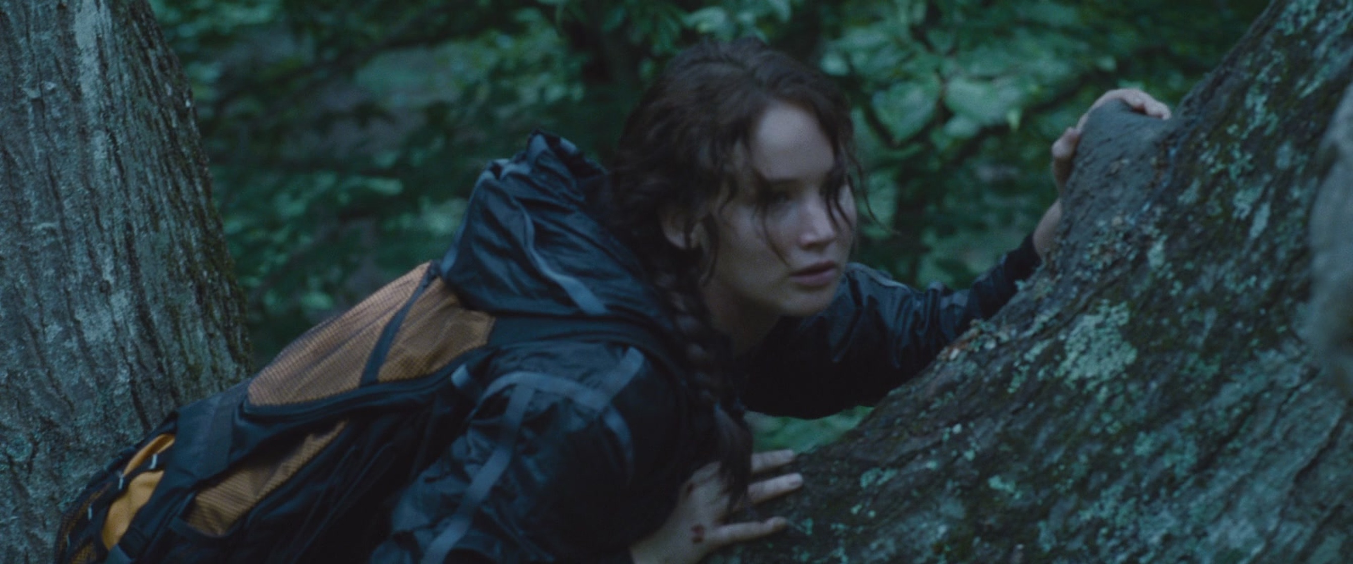 The Hunger Games